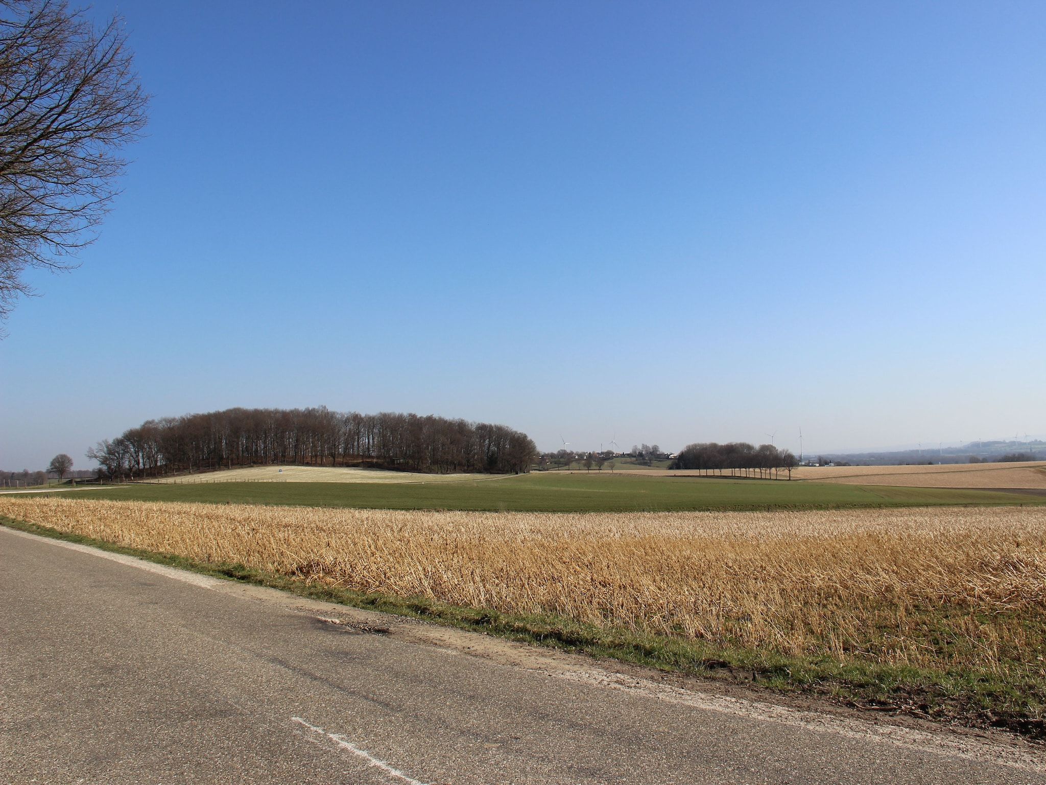 De omgeving van Valleyview Cottages - NR04 in Voerendaal