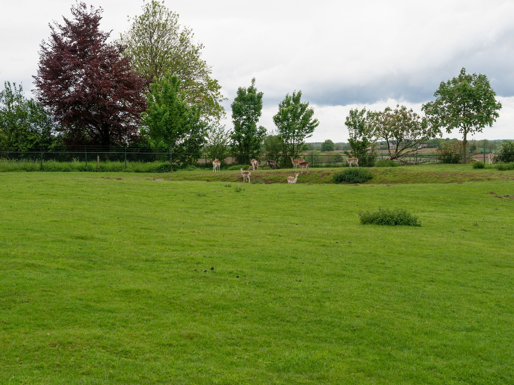 De tuin van Valleyview Cottages - NR07 in Voerendaal
