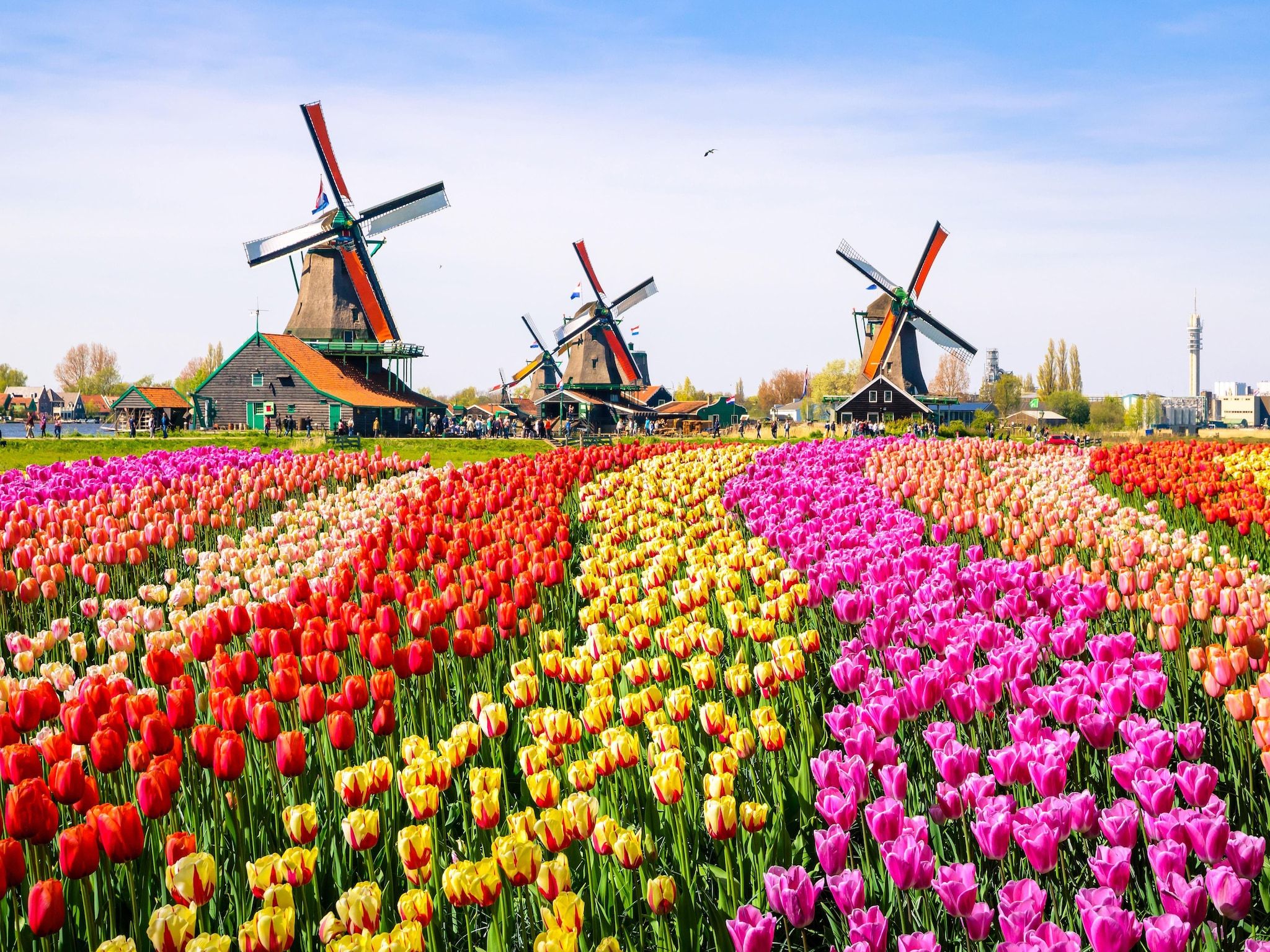 De omgeving van Vooroeverhuys Wellness in PS Opperdoes