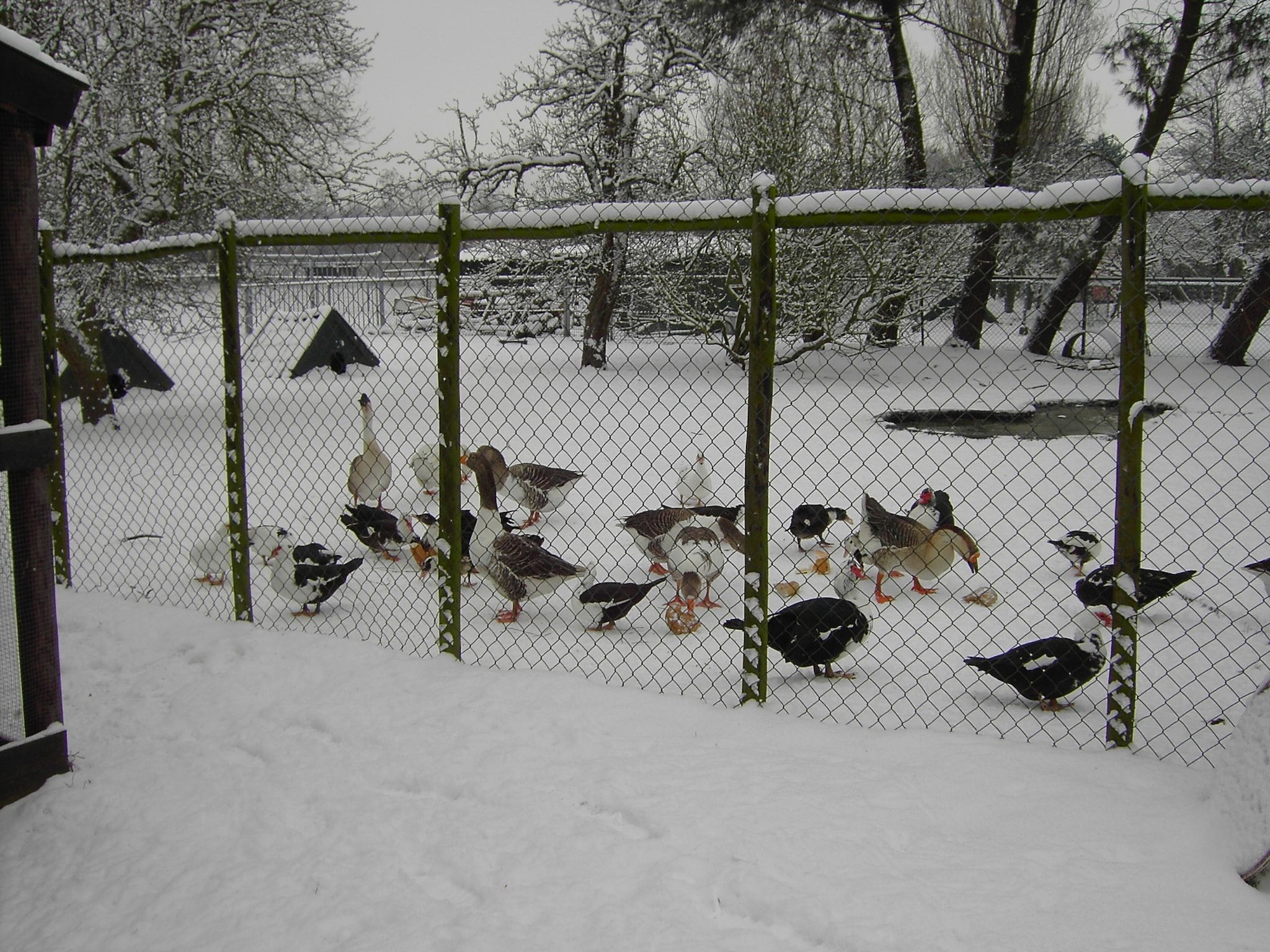 De Herberg in Bergen op Zoom - Foto 27 van 31