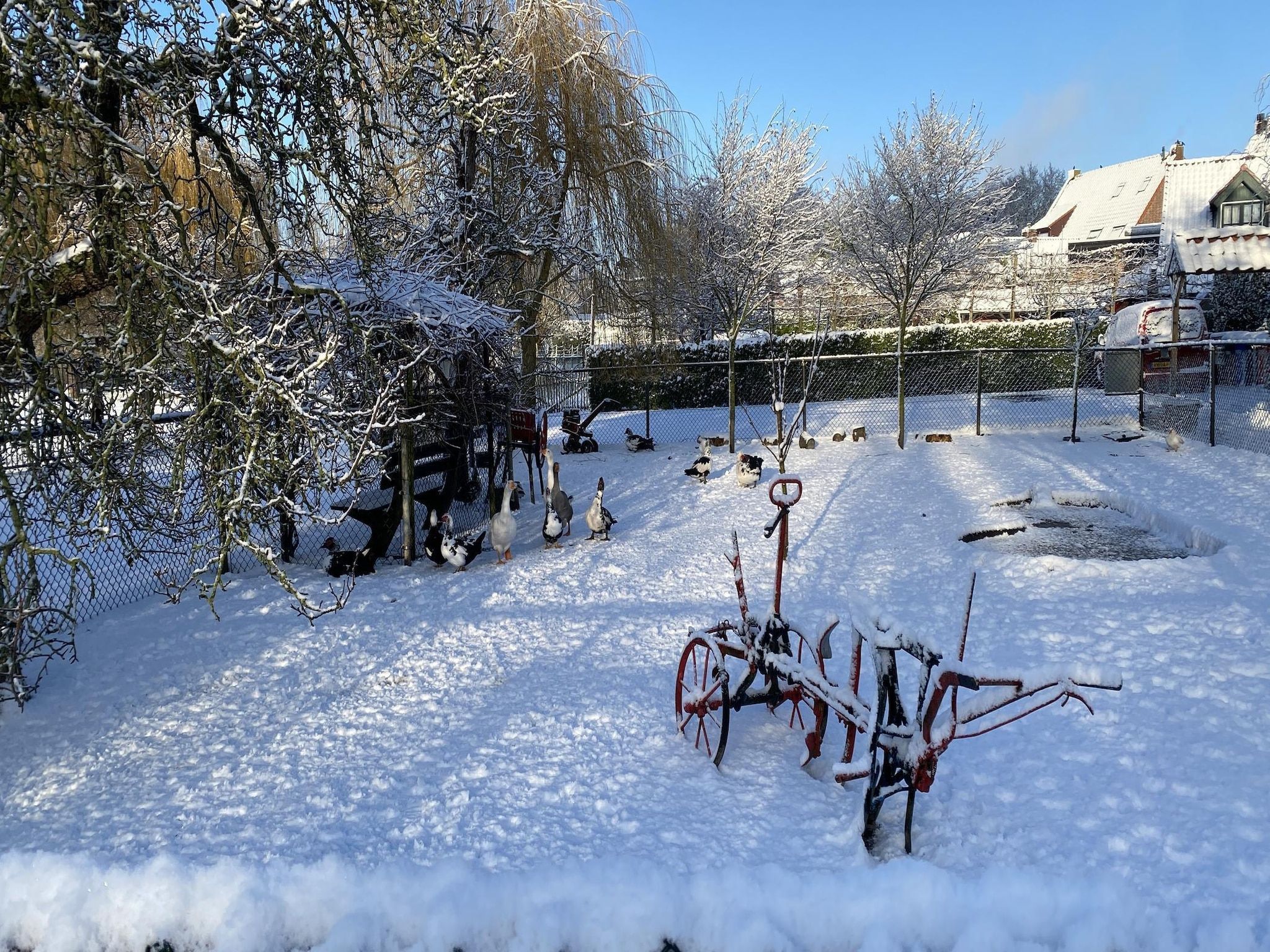 De tuin van De Hofstede in Bergen op Zoom