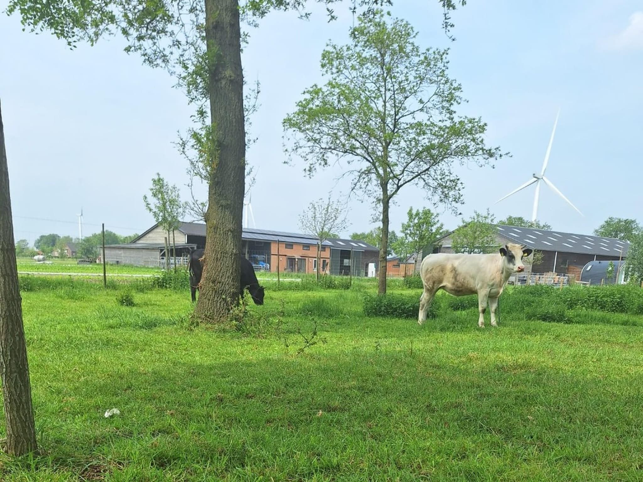 Het uitzicht vanaf Het Boshuis in Oirschot