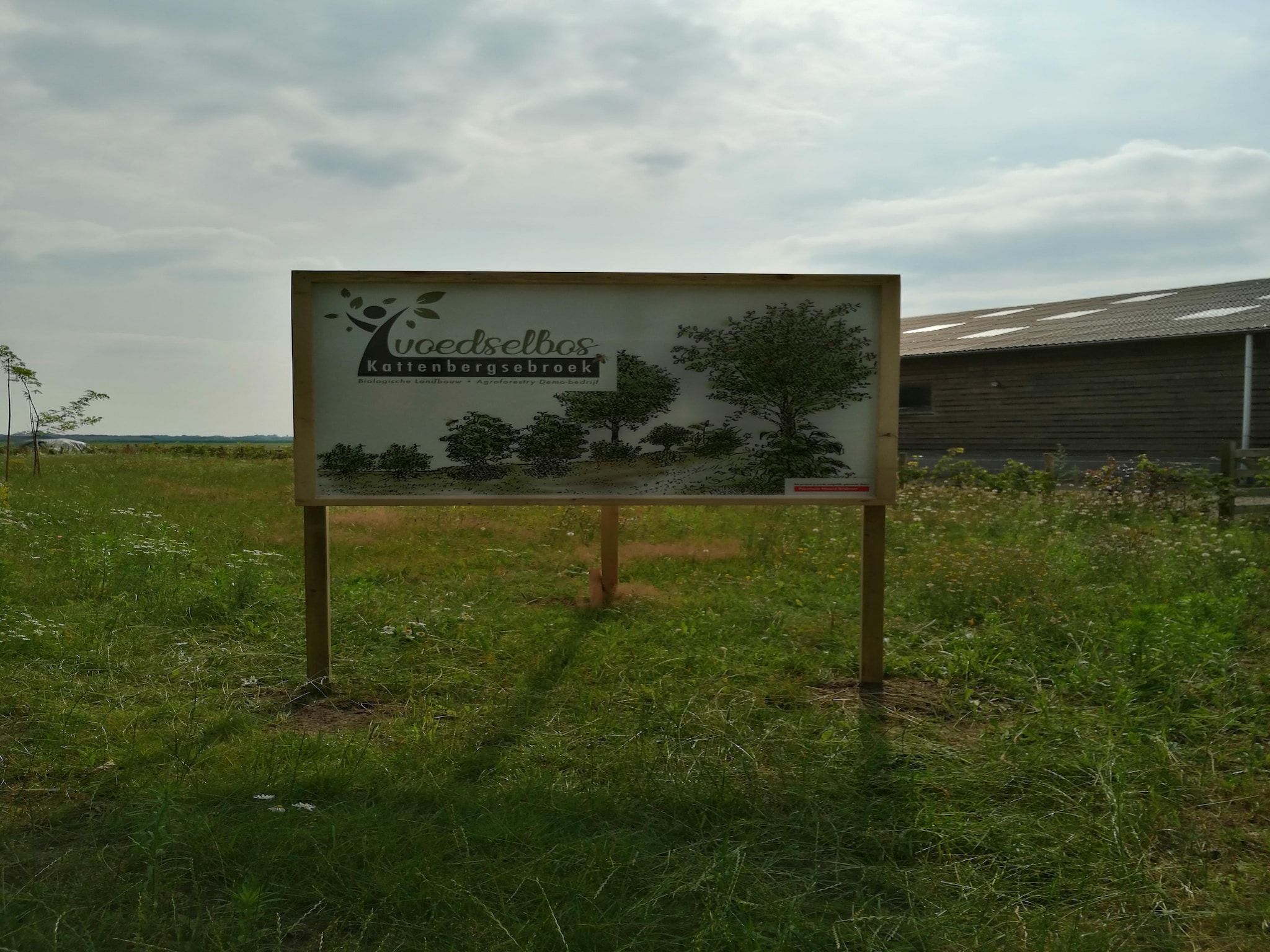 De tuin van De Ree en de Specht in Oirschot