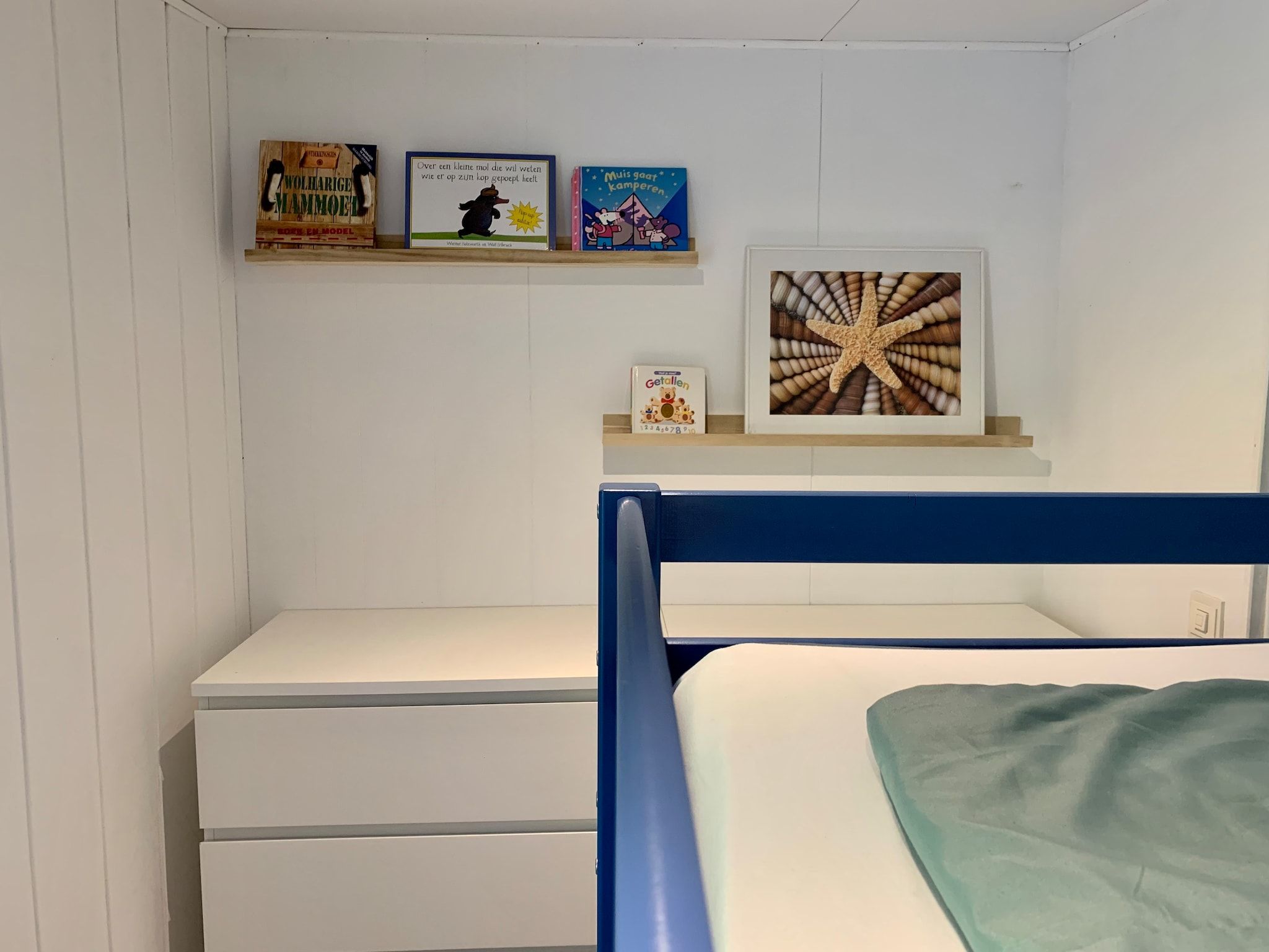 Sfeerbeeld van Campanula 211 in Sint Maartenszee
