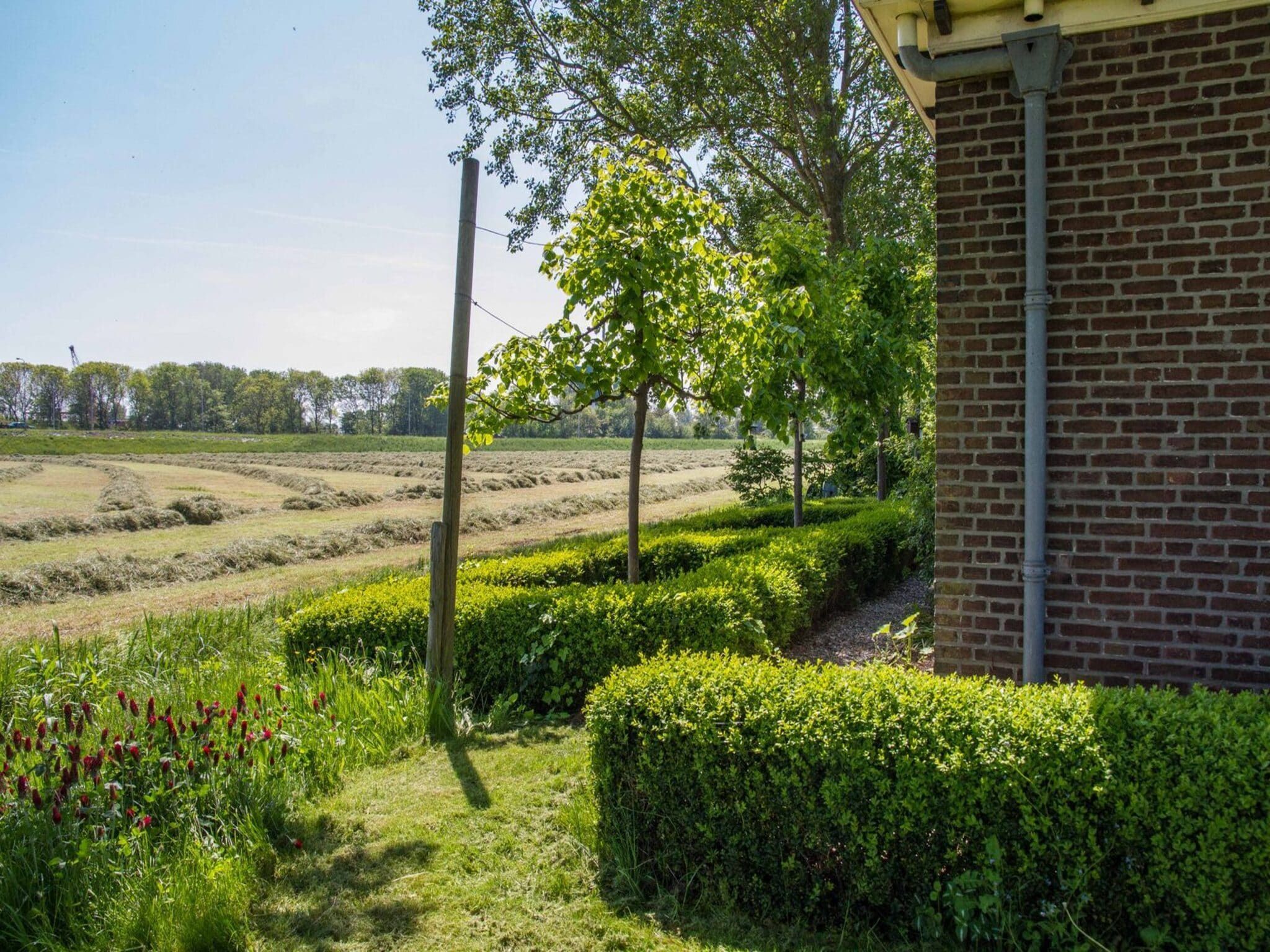 De tuin van Appartement Nostalgisch in Schagen