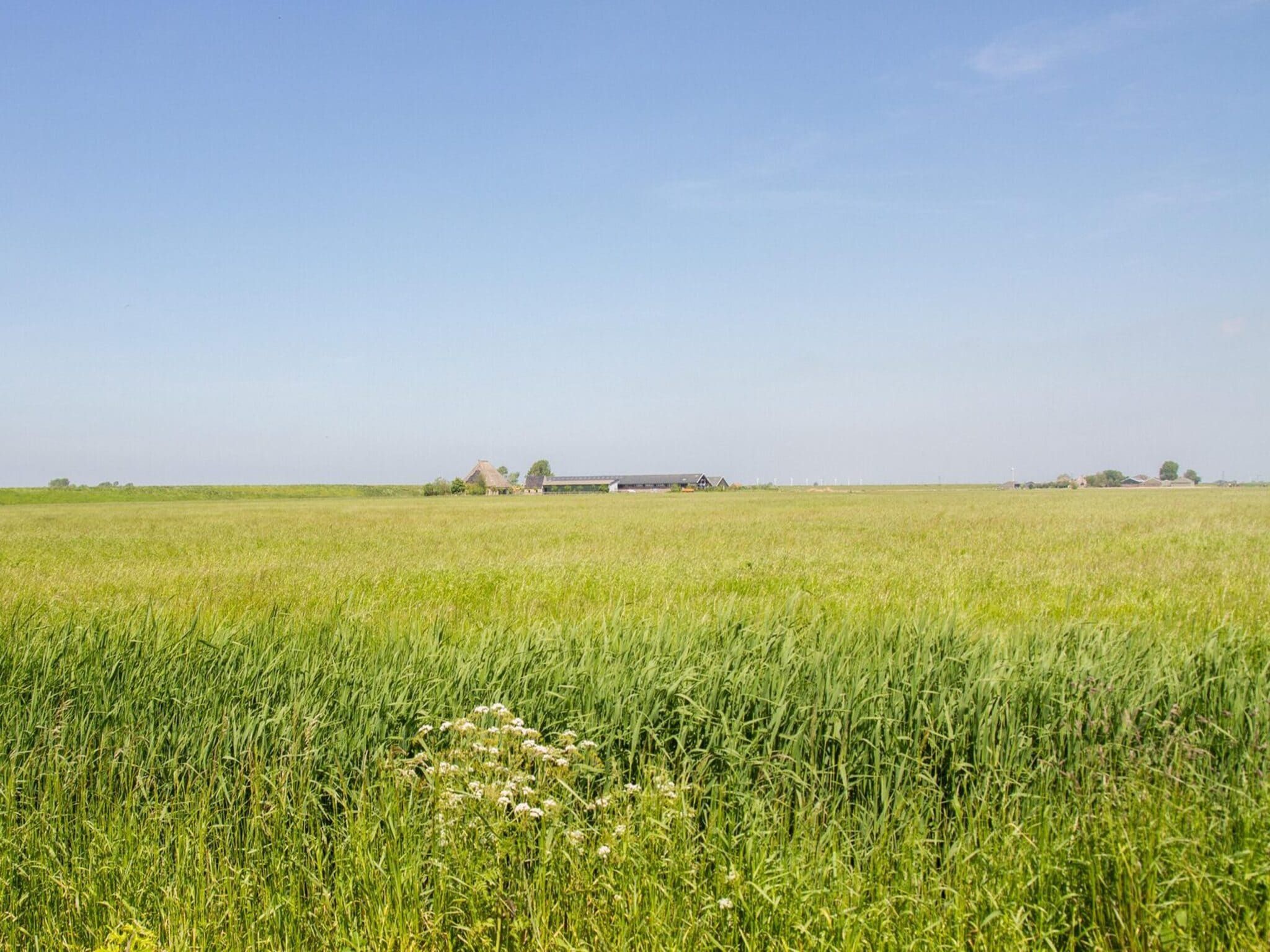 De omgeving van Appartement Rustiek in Schagen