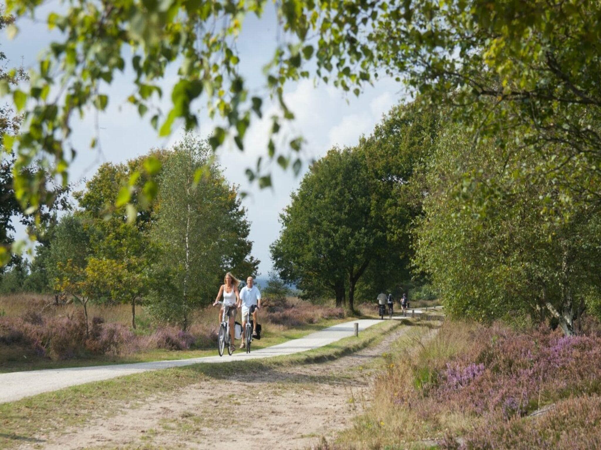 De omgeving van Oak Lodge I 4 people in Rijssen