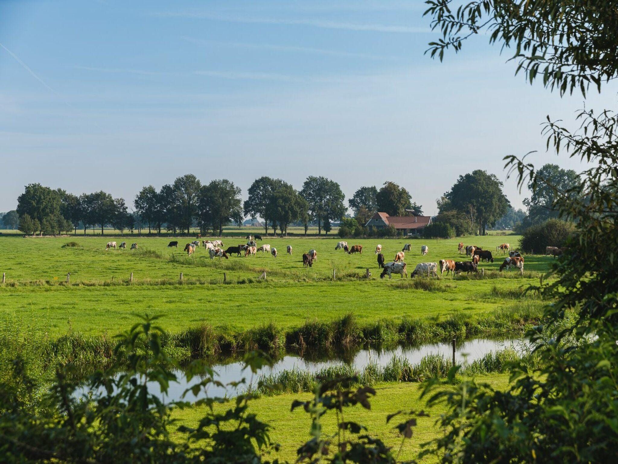 De omgeving van Safari tent with private bathroom | 8 people in Zuna