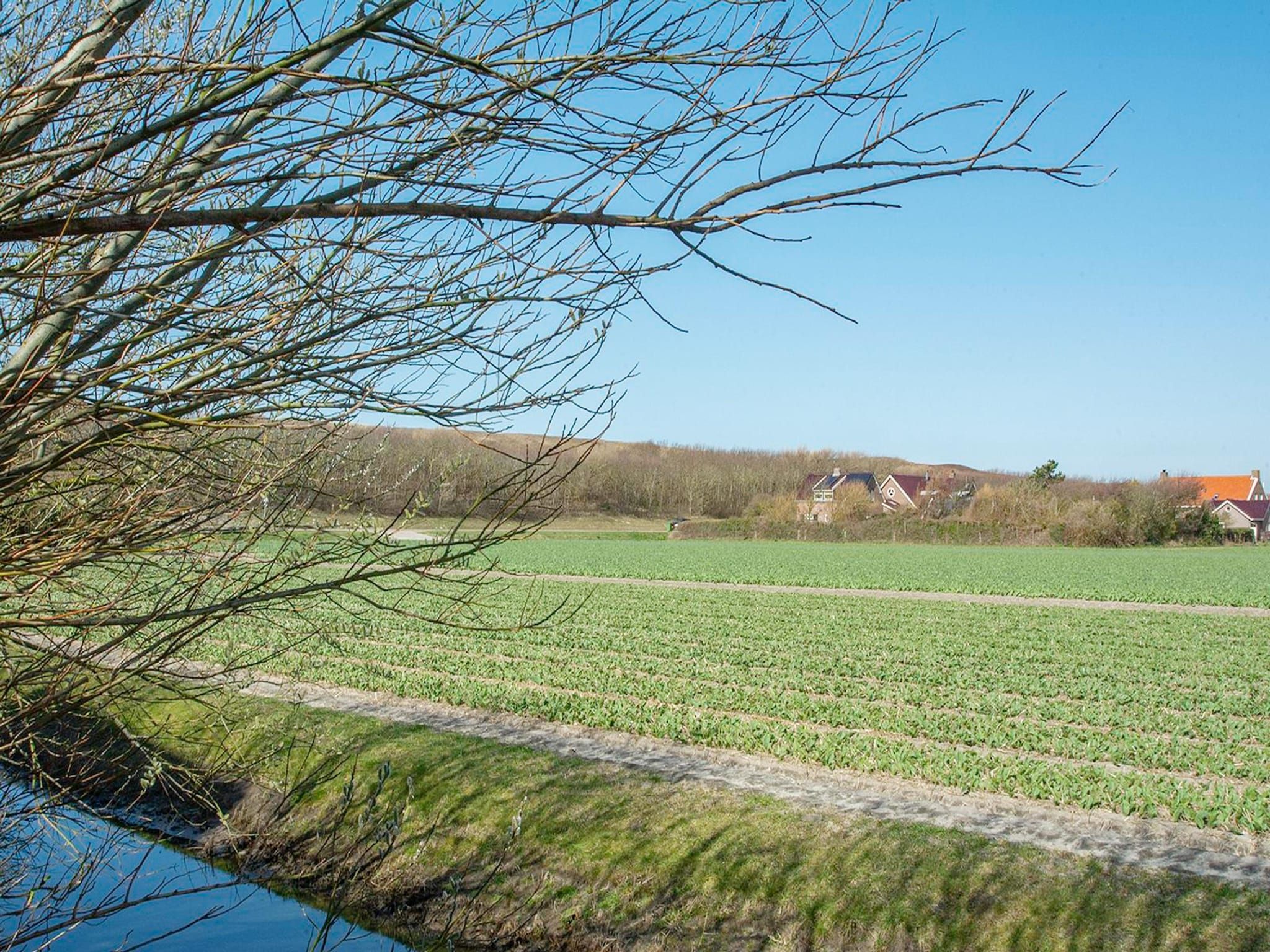 De omgeving van Résidence Juliana 21 in Julianadorp aan Zee