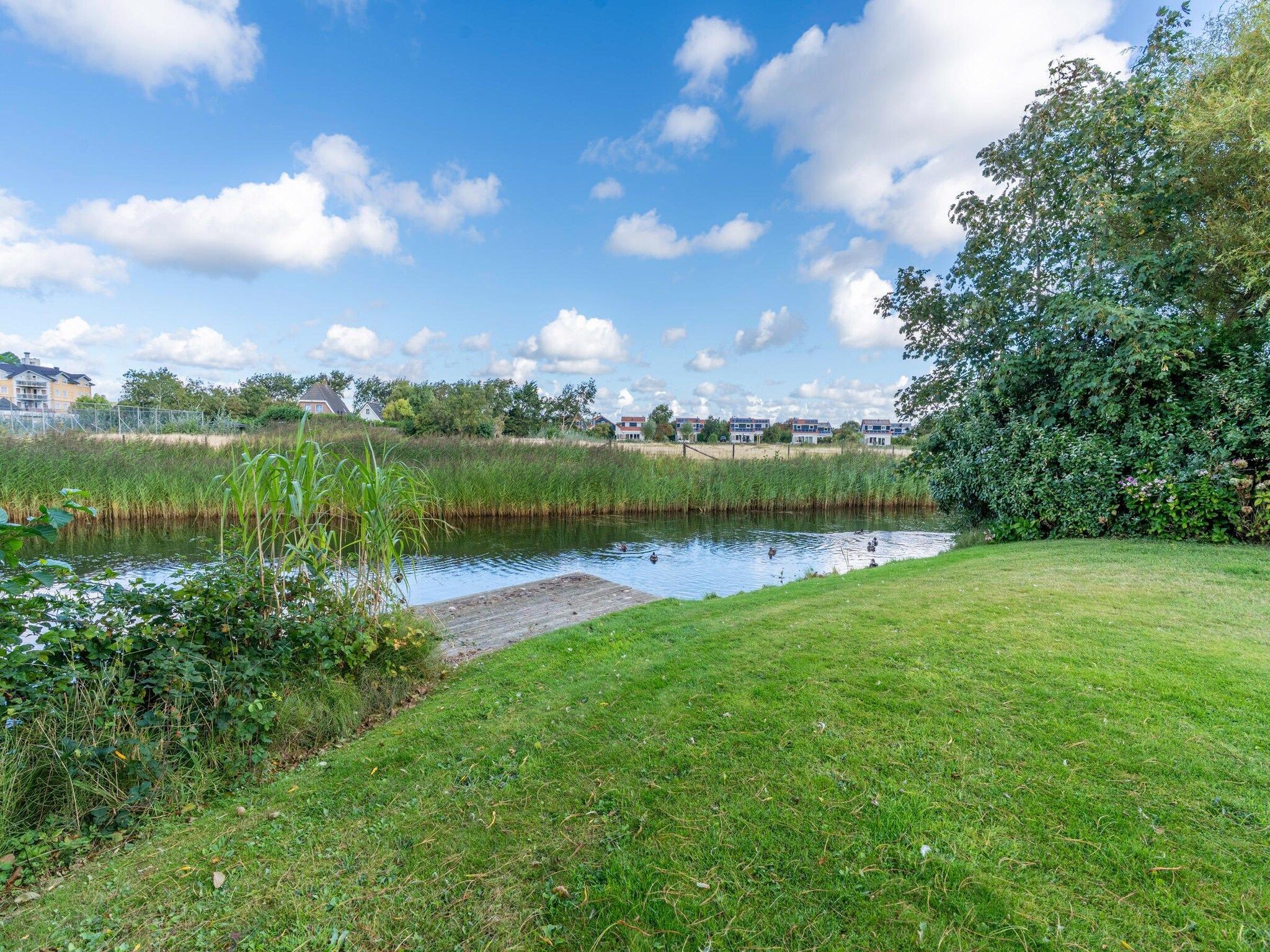 De tuin van Kamperfoelie 63 in De Koog