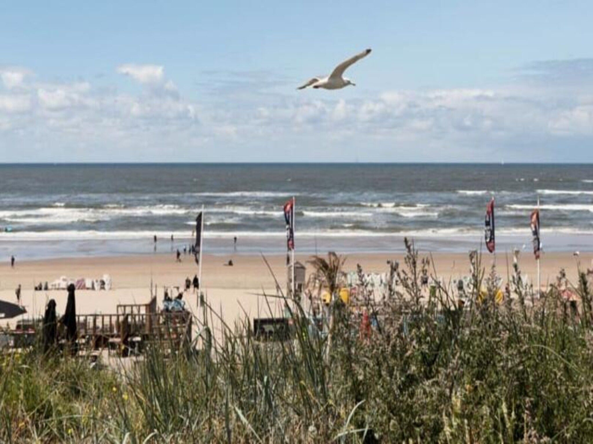 The Beach & Town Suite in Zandvoort - Foto 41 van 55