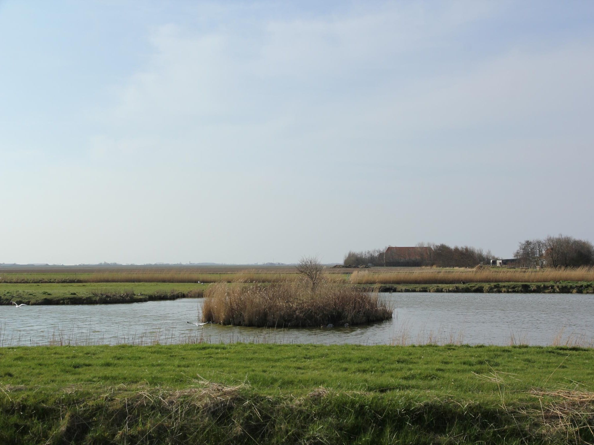 De omgeving van Noorderlicht in De Cocksdorp