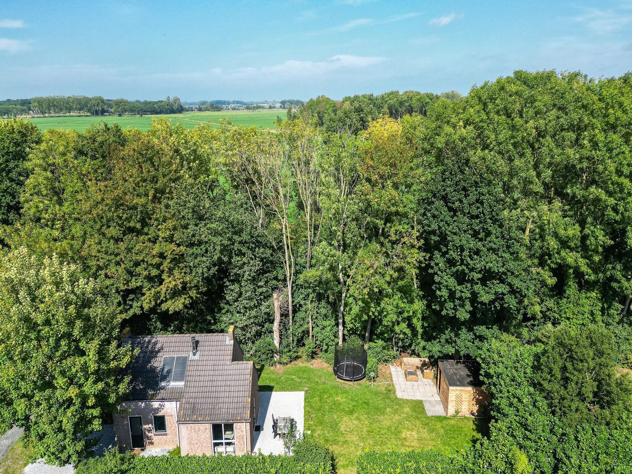 De omgeving van 7 - Persoons Forest 217 Sauna Bungalow (copy) (copy) in Ewijk