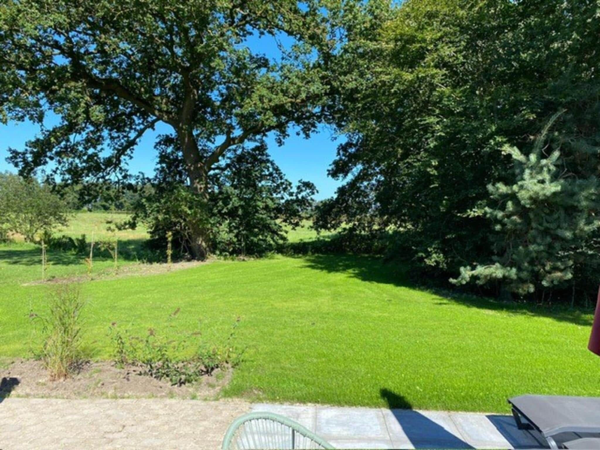 Het uitzicht vanaf Wellnesslodge Merel 2p in Dalerveen