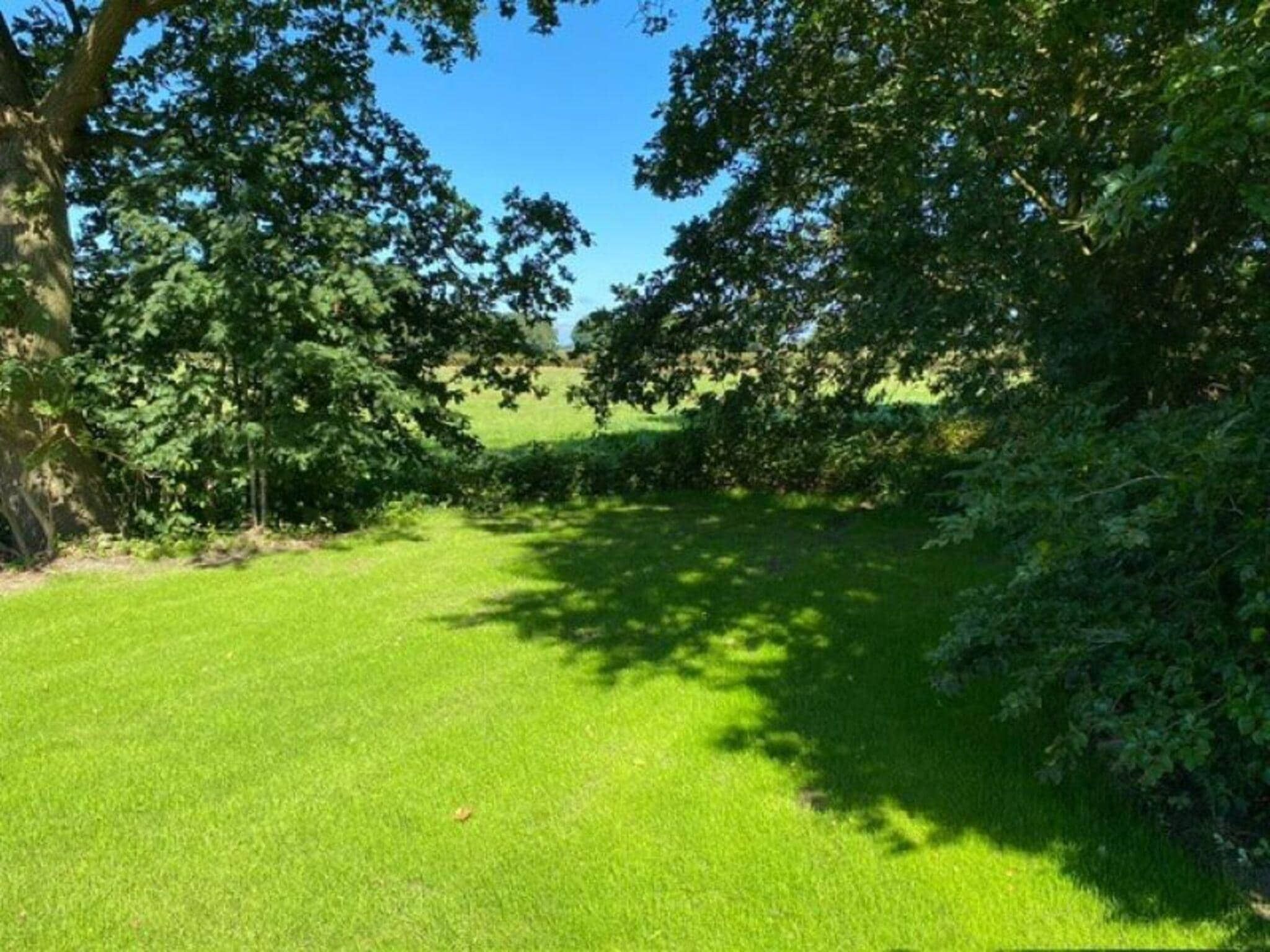 De tuin van Wellnesslodge Merel 2p in Dalerveen