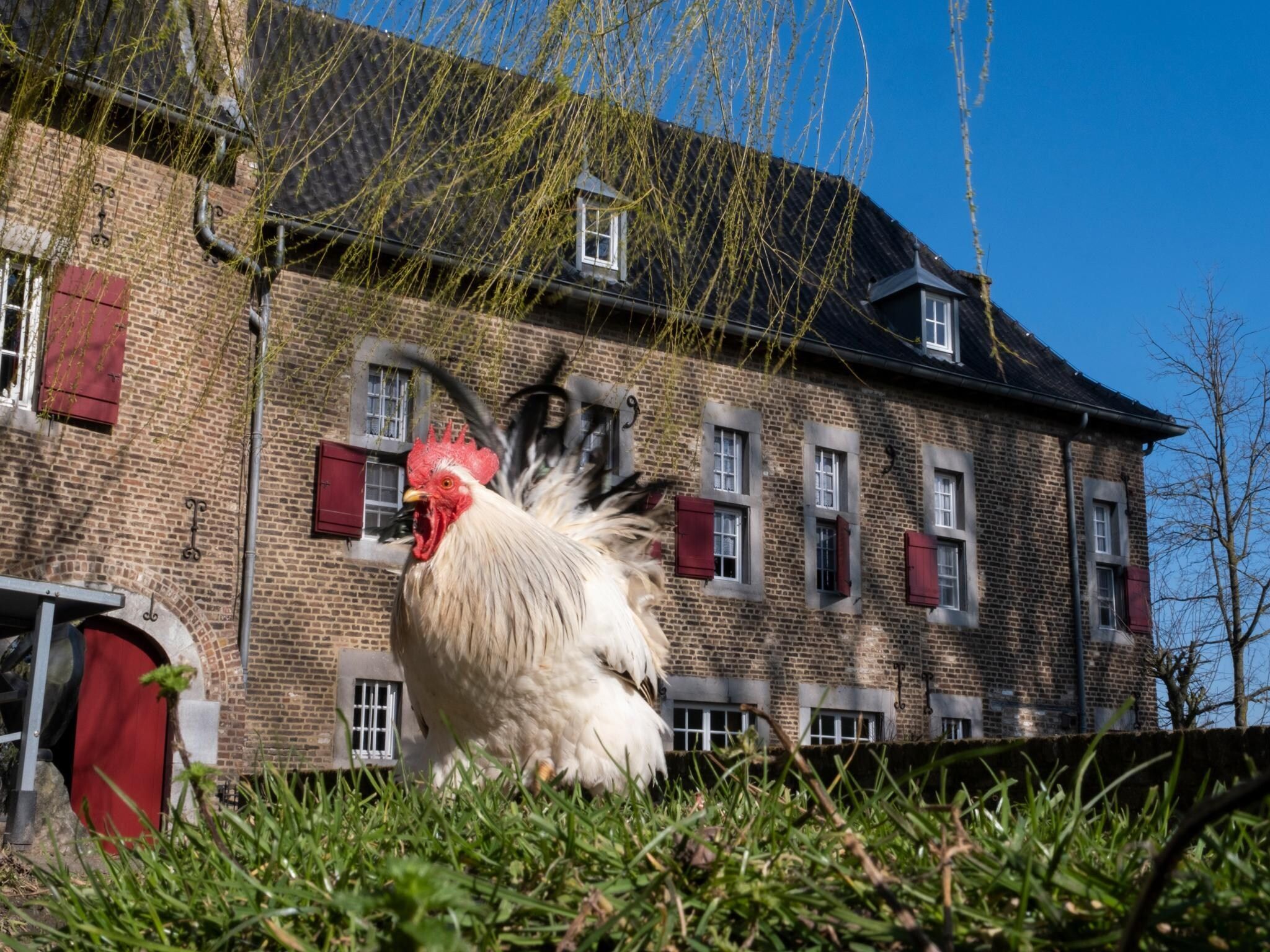 Voorzieningen bij Meschermolen 8 in Mesch-Eijsden