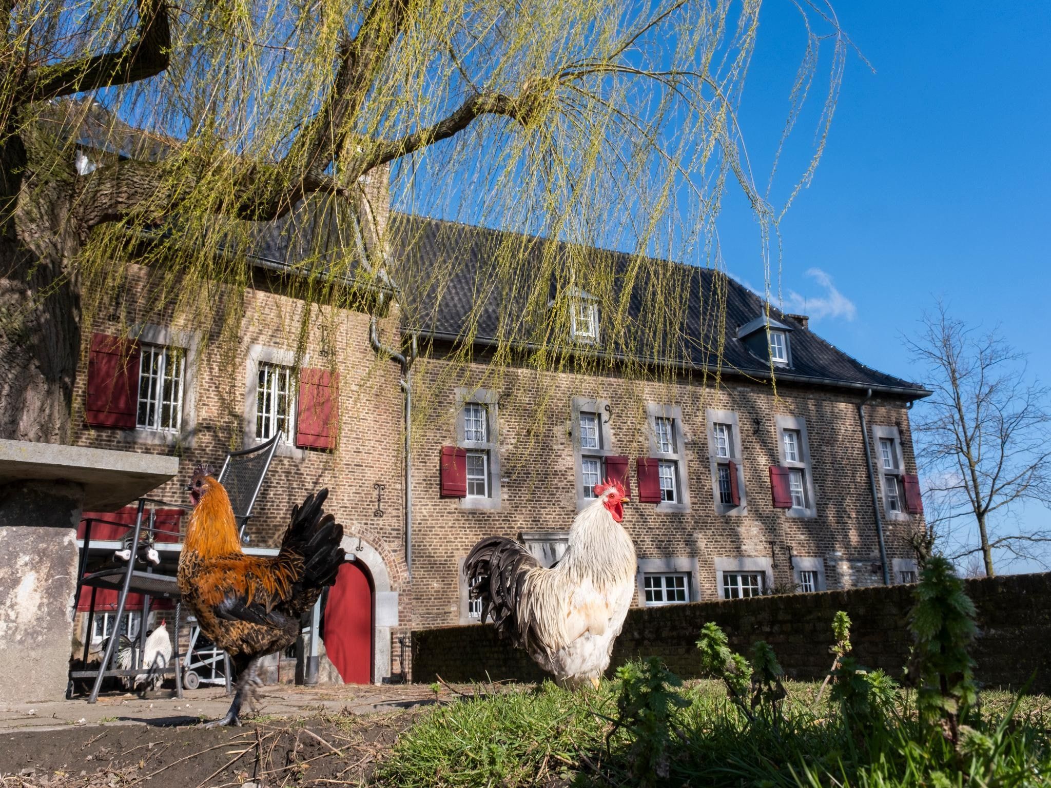 De buitenkant van Meschermolen 8 in Mesch-Eijsden