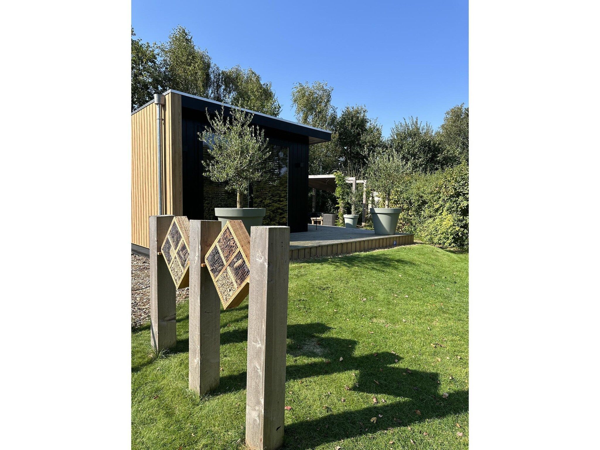 De buitenkant van Chalet de Blauwe regen in Balkbrug