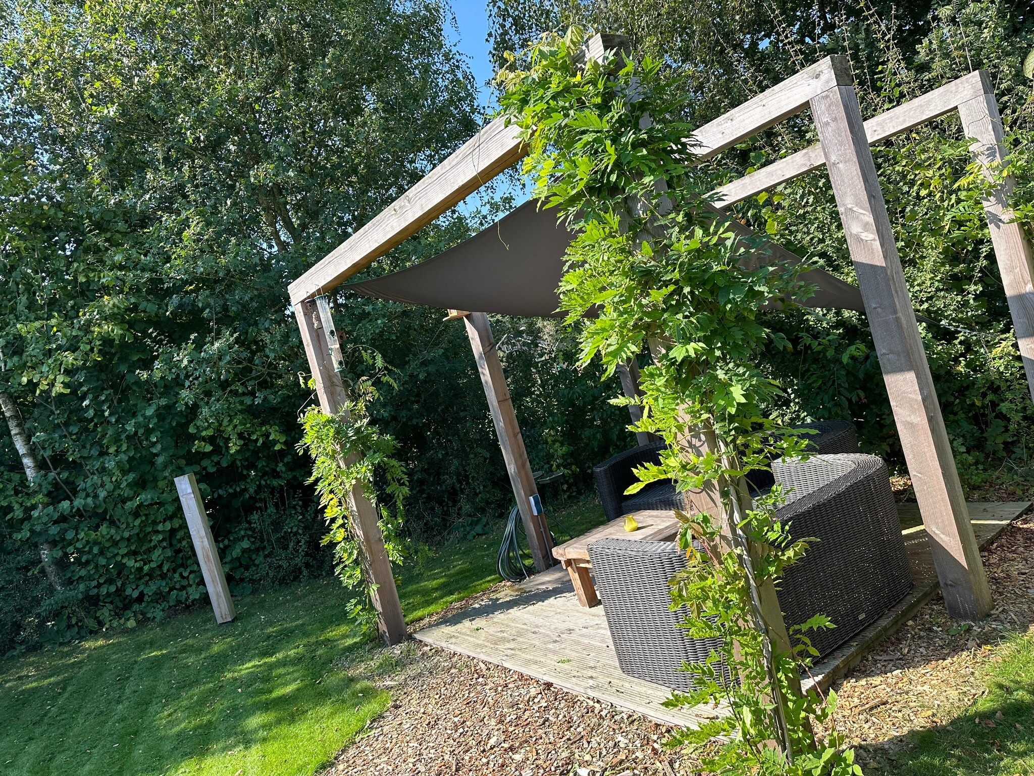 Voorzieningen bij Chalet de Blauwe regen in Balkbrug