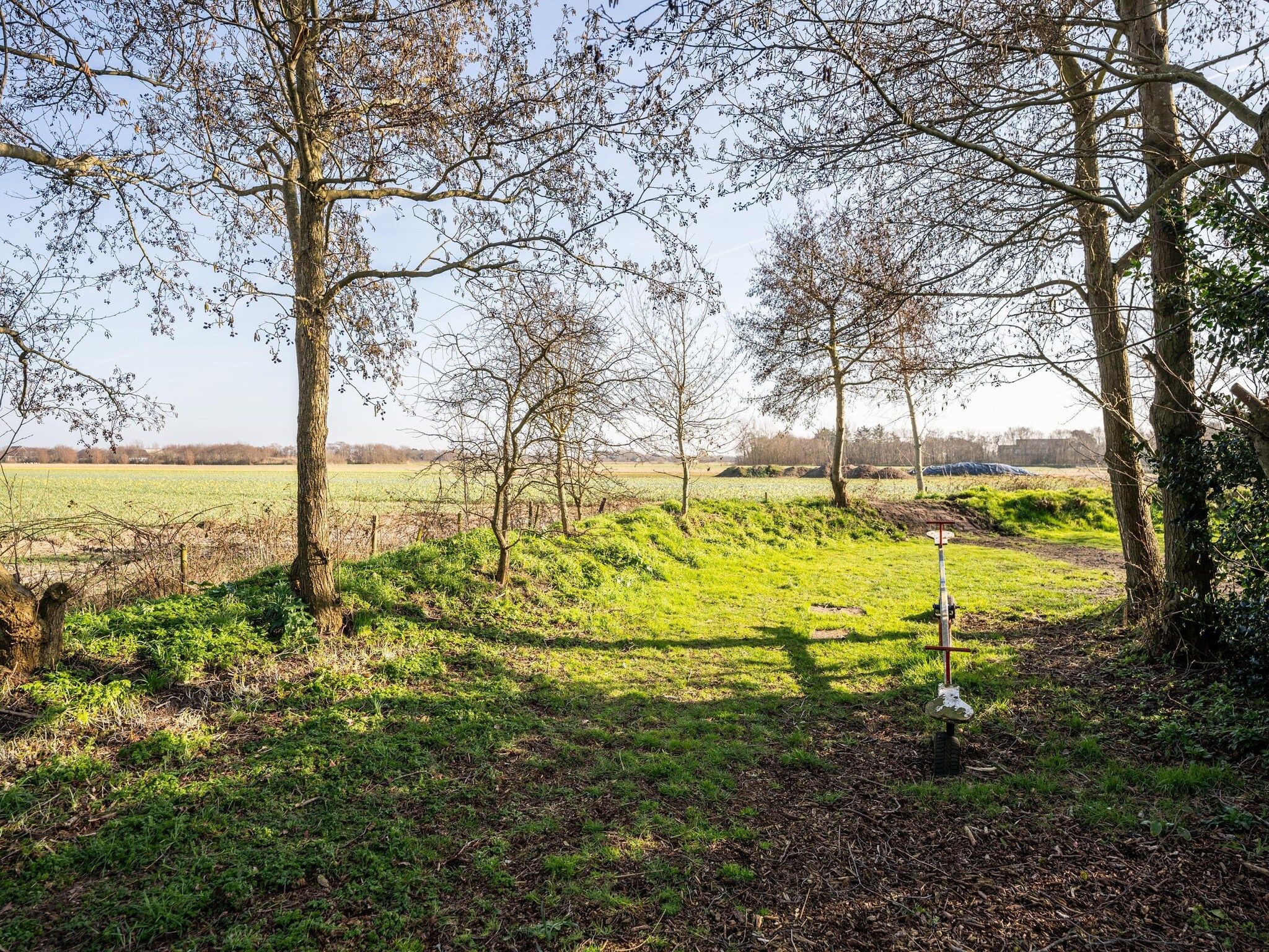 Mienterbos-Heideglop in De Koog - Foto 20 van 21