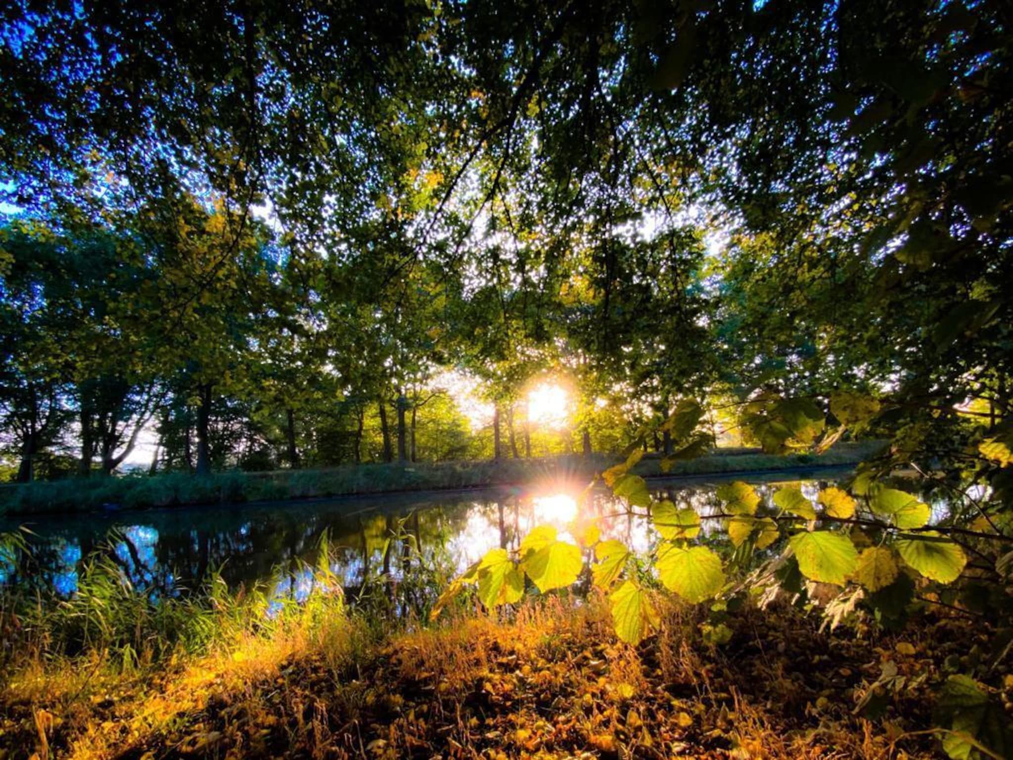De omgeving van De Groninger Zeeuw in Bellingwolde