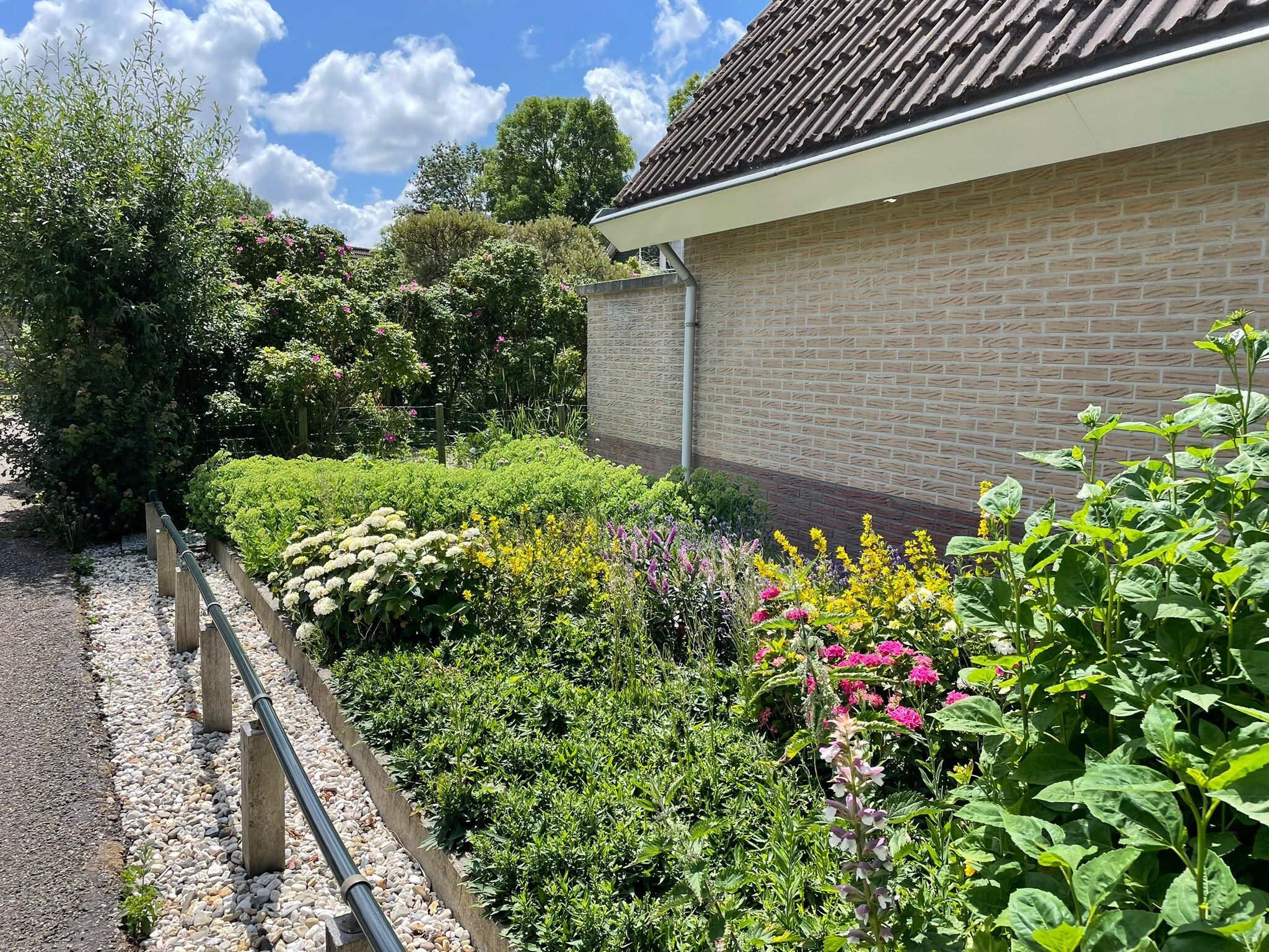 De tuin van Zon op de Wielen - 7 in Sint Maarten