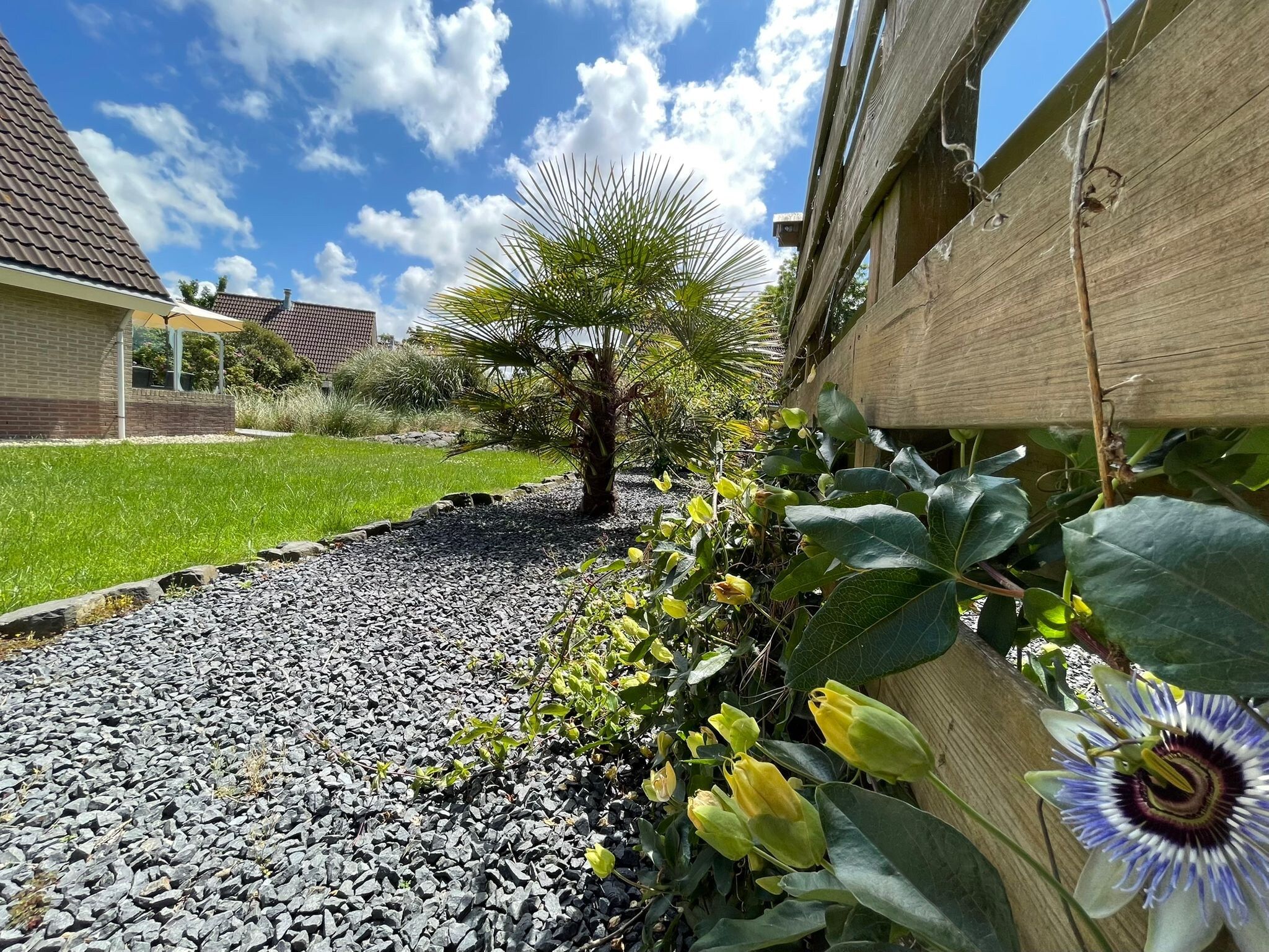 De tuin van Zon op de Wielen - 7 in Sint Maarten