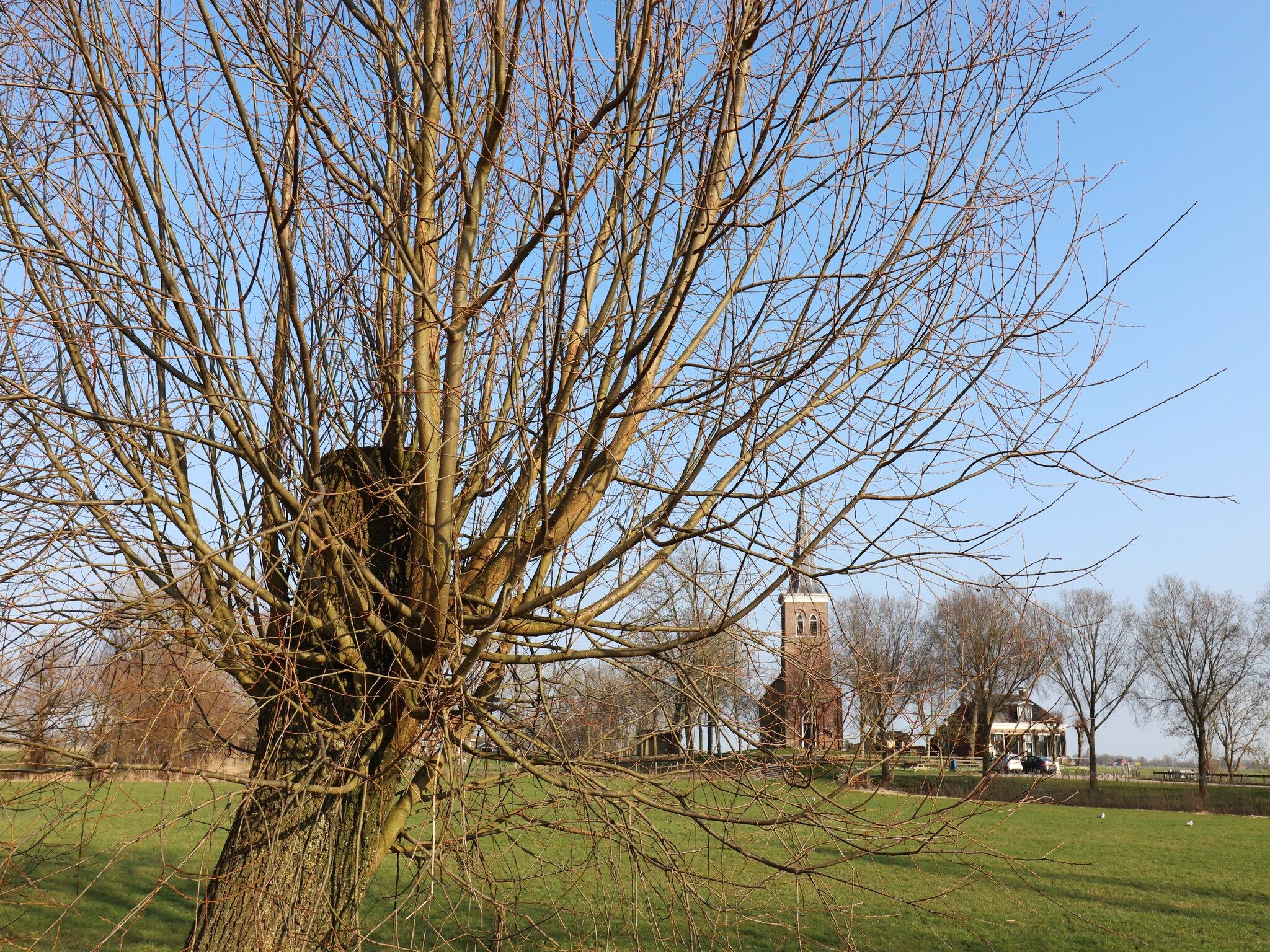 Moderne villa op het Friese platteland in leons - Foto 37 van 38