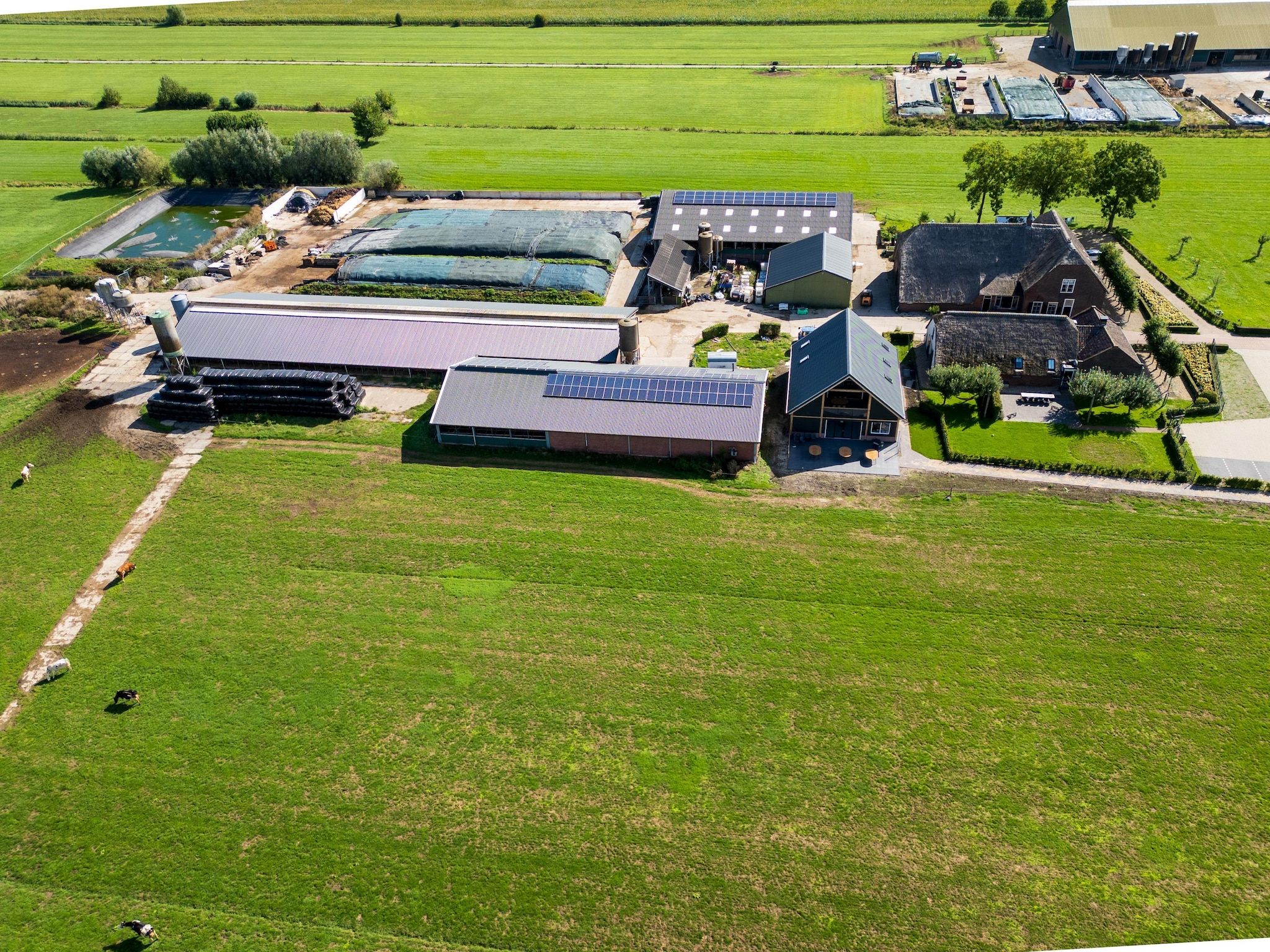 The New Barn in Montfoort - Foto 40 van 42