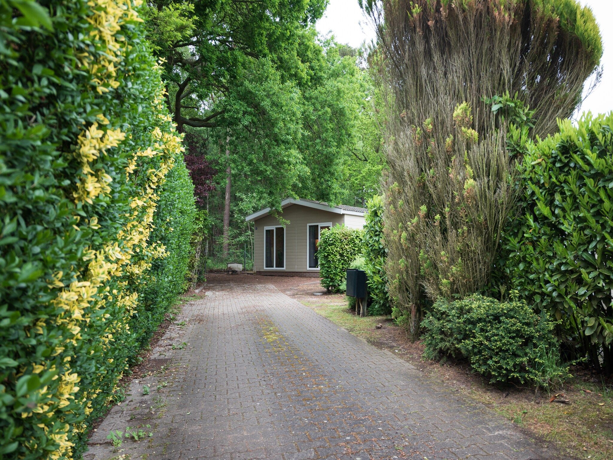 De buitenkant van Vakantie home Coevorderweg in Stegeren
