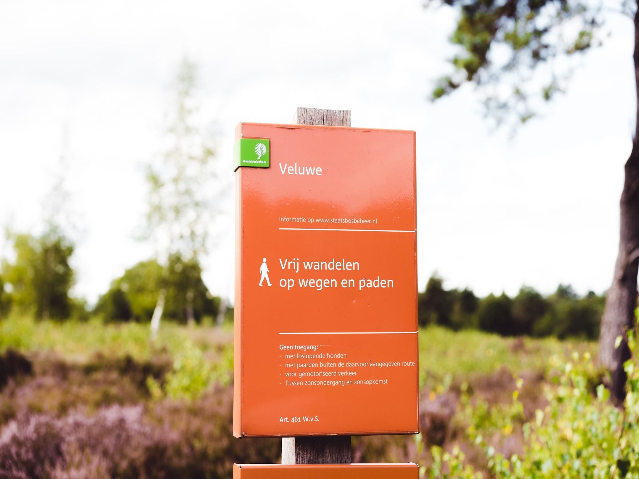 De omgeving van Bospark de Schaapskooi 8 in Wissel/Epe