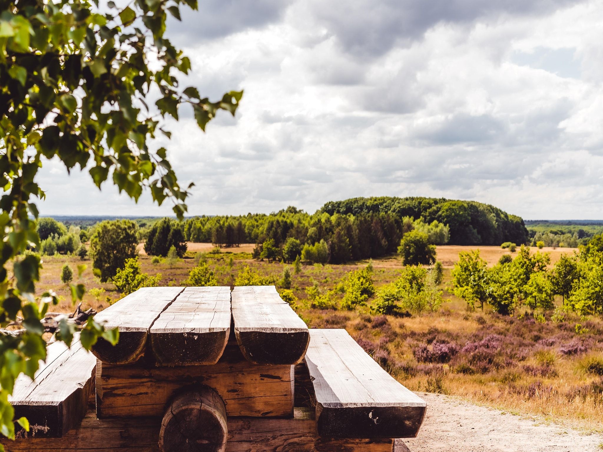 De omgeving van Bospark de Schaapskooi 8 in Wissel/Epe