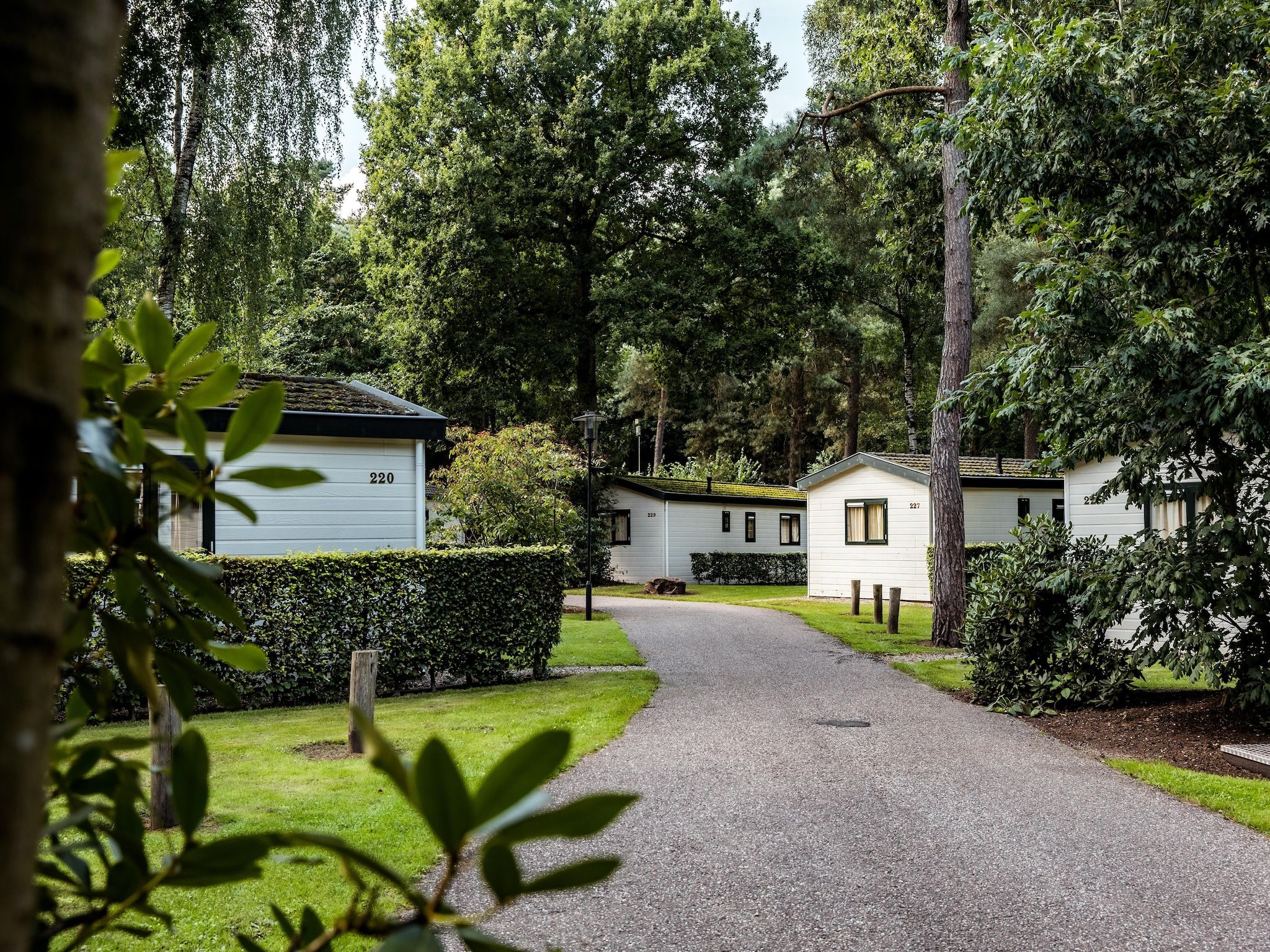 Parkfaciliteiten bij Bospark de Schaapskooi 8 in Wissel/Epe