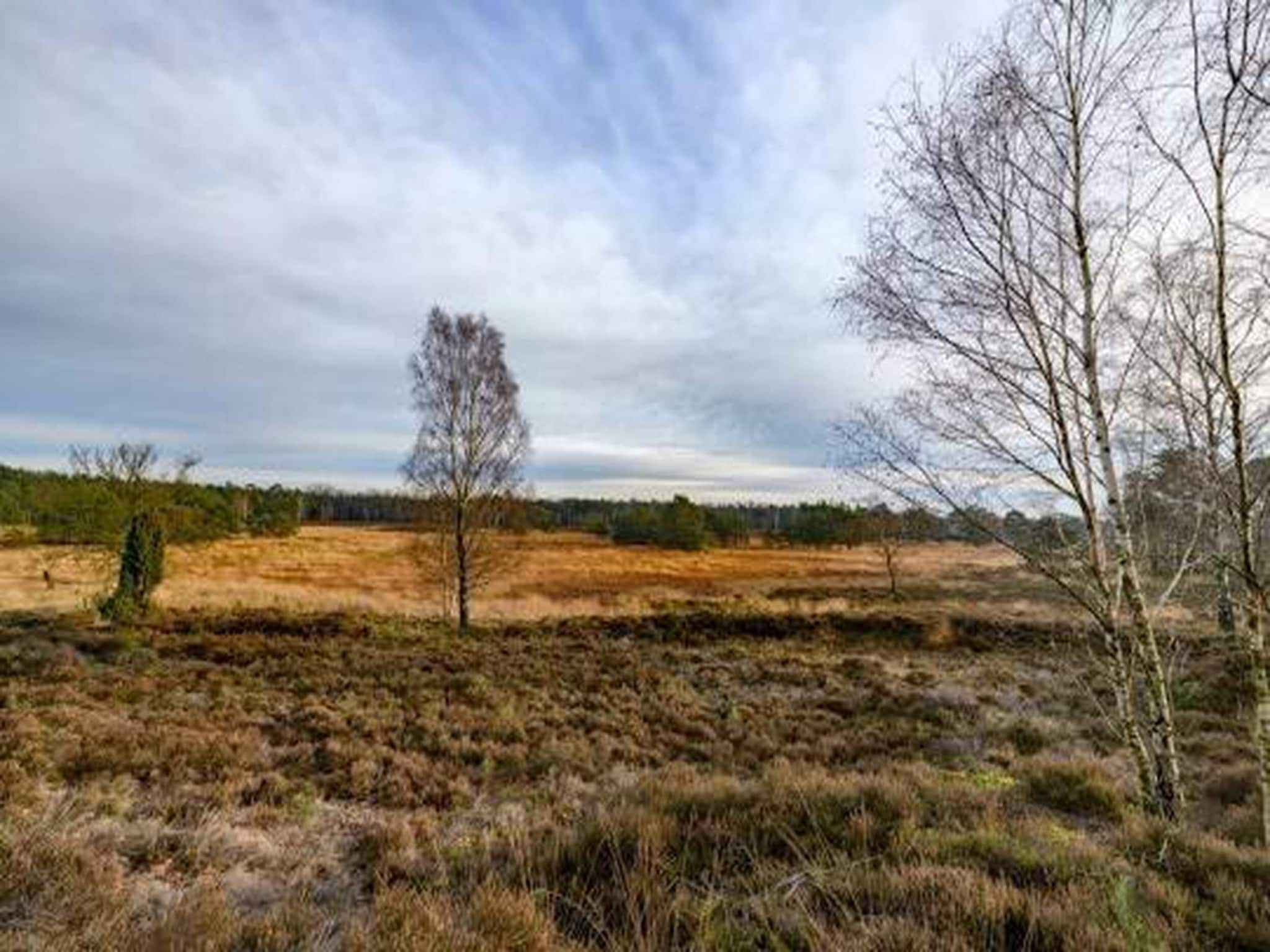 Bospark de Schaapskooi 8 in Wissel/Epe - Foto 35 van 39