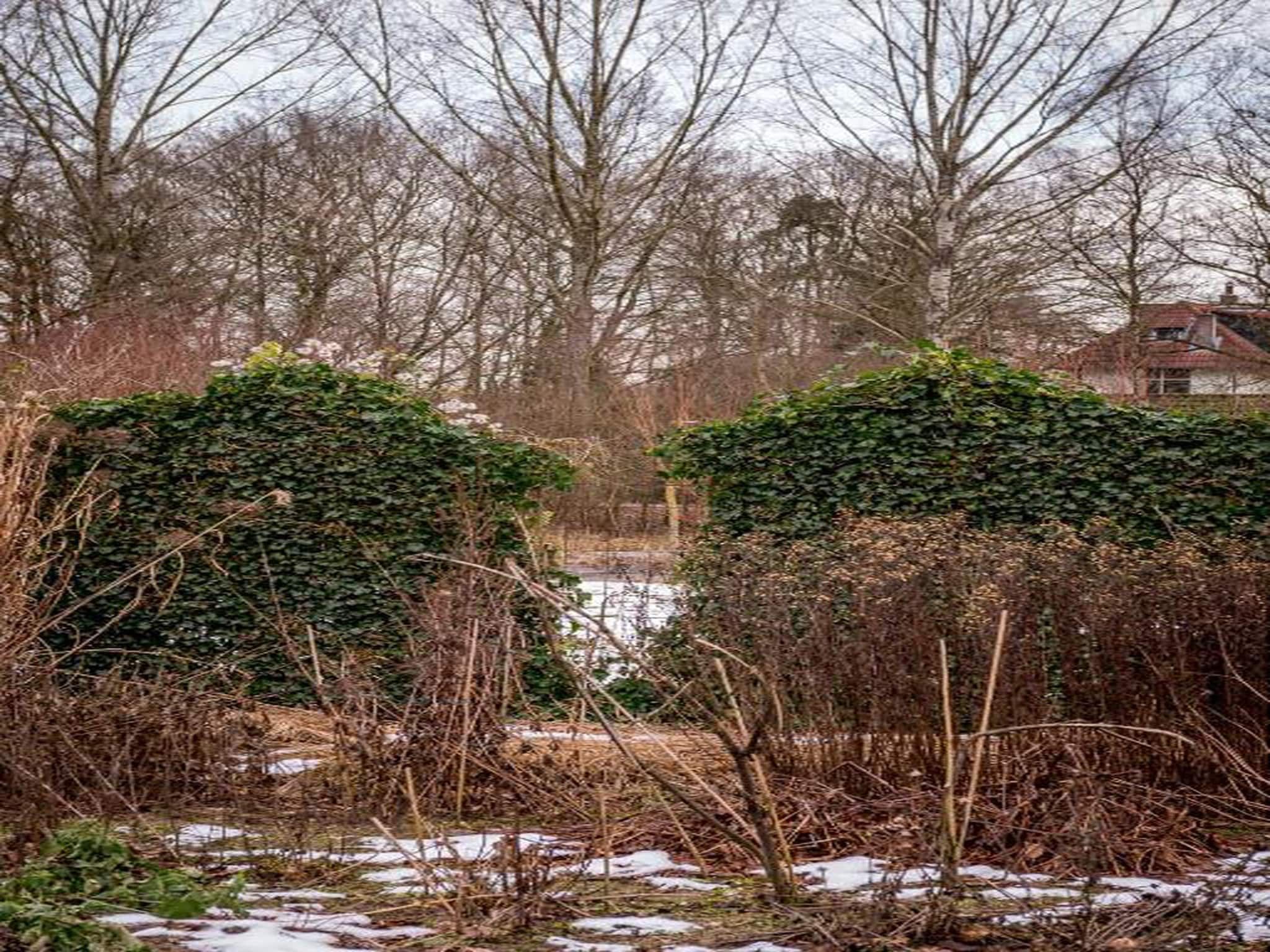 Bospark de Schaapskooi 8 in Wissel/Epe - Foto 36 van 39