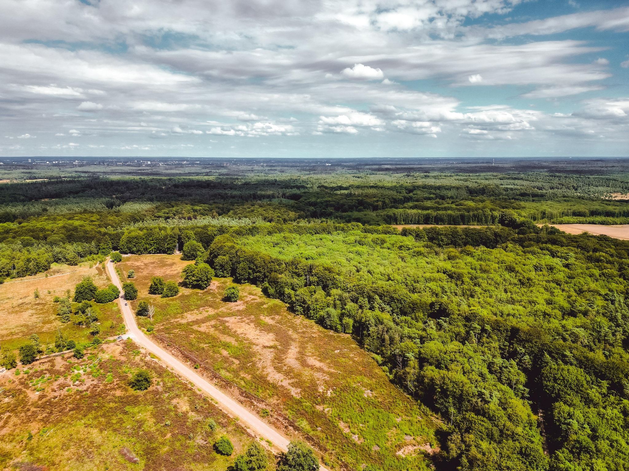 De omgeving van Bospark de Schaapskooi 5 in Wissel/Epe