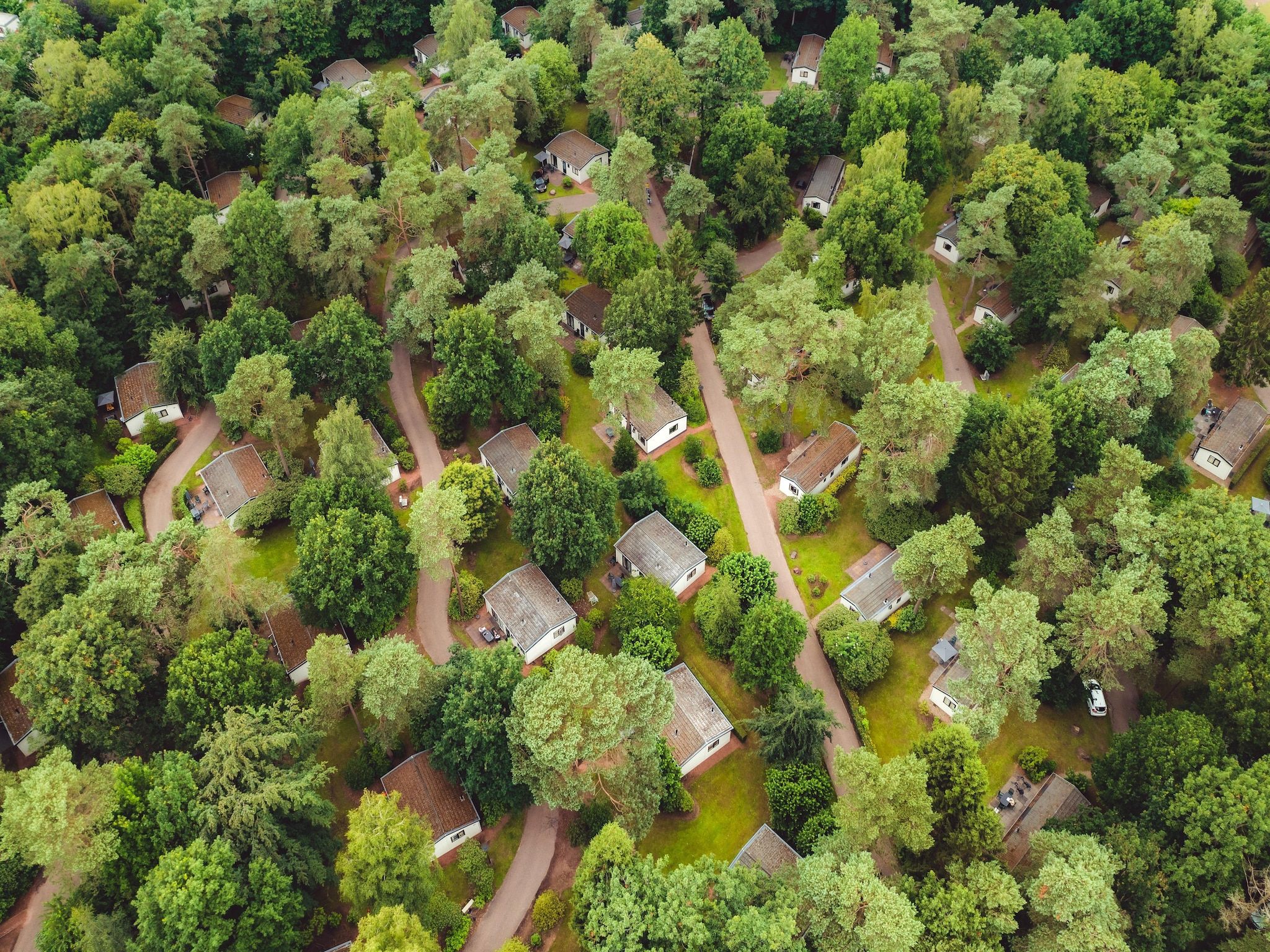 Parkfaciliteiten bij Bospark de Schaapskooi 5 in Wissel/Epe