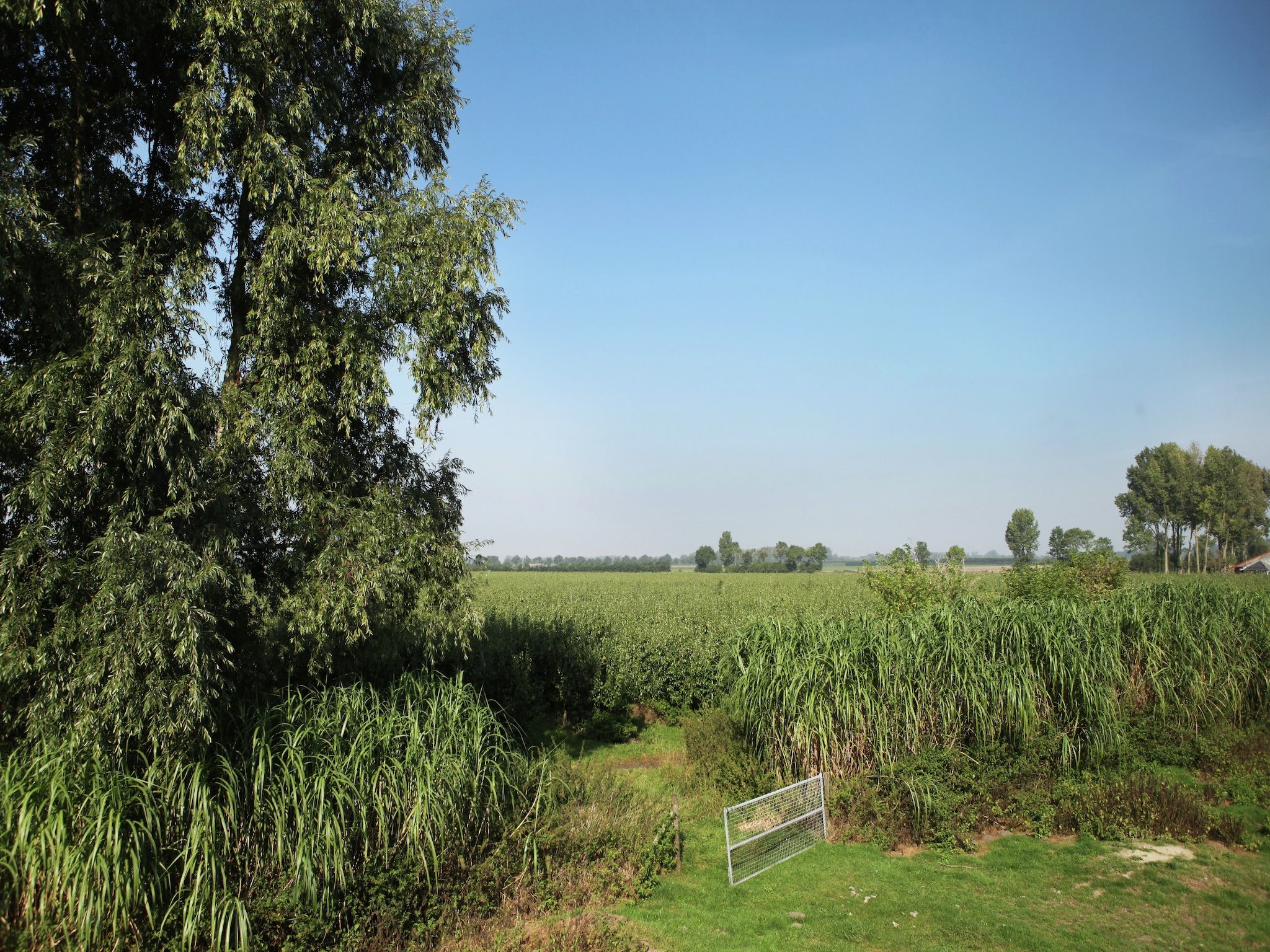 Het uitzicht vanaf Appartement De Hooizolder in Eede