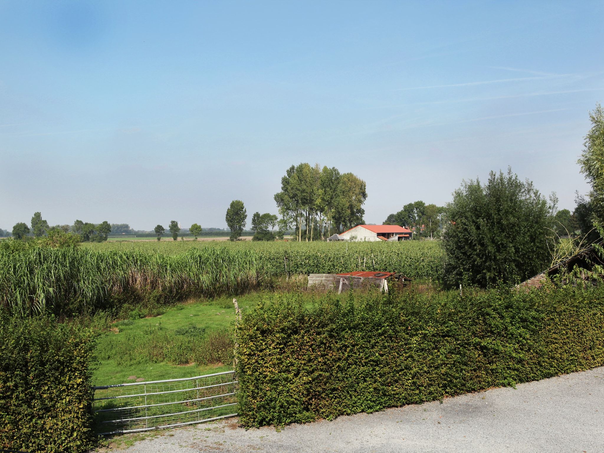 Het uitzicht vanaf Appartement De Dorsvloer in Eede