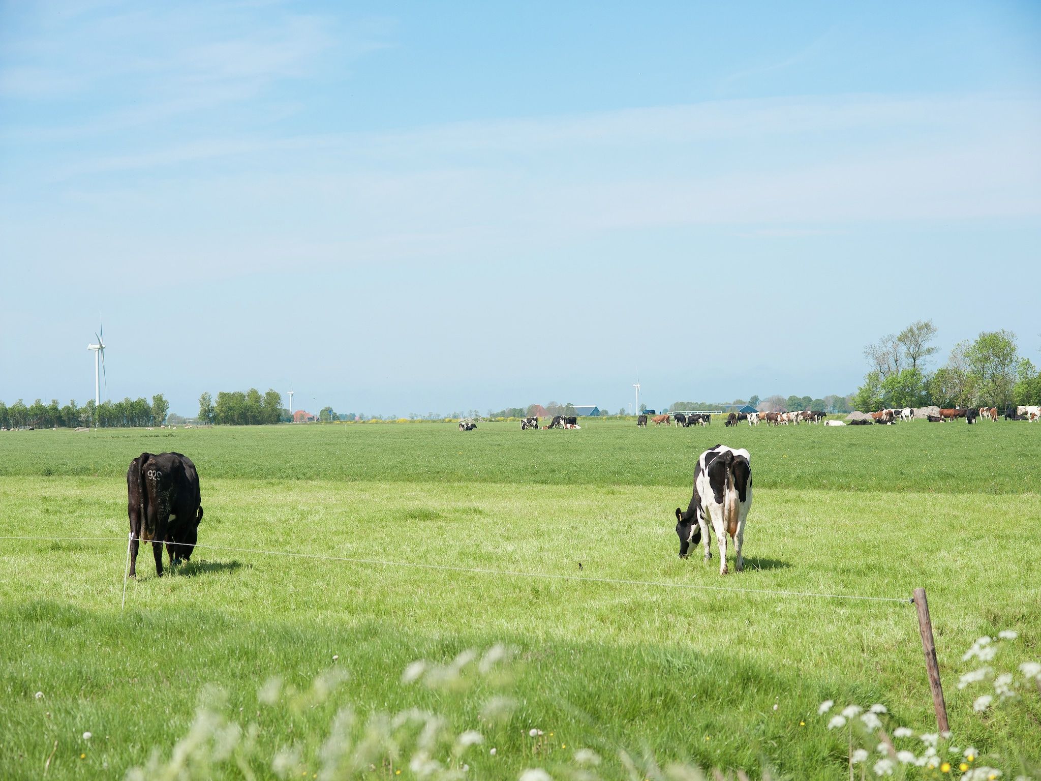 De omgeving van Pronkkeamer Skrins in Easterlittens