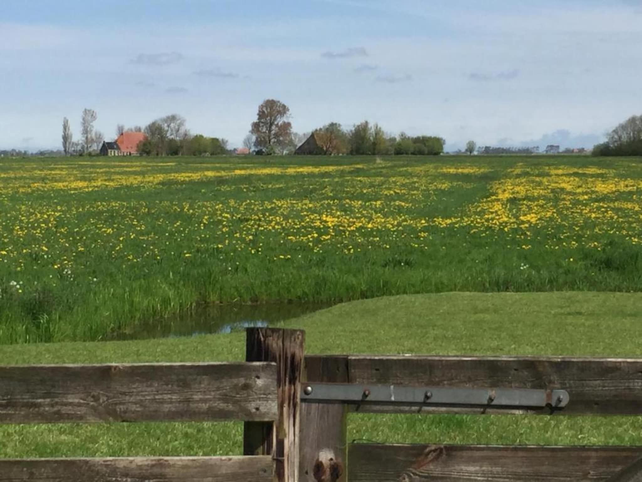 De omgeving van Pronkkeamer Skrins in Easterlittens