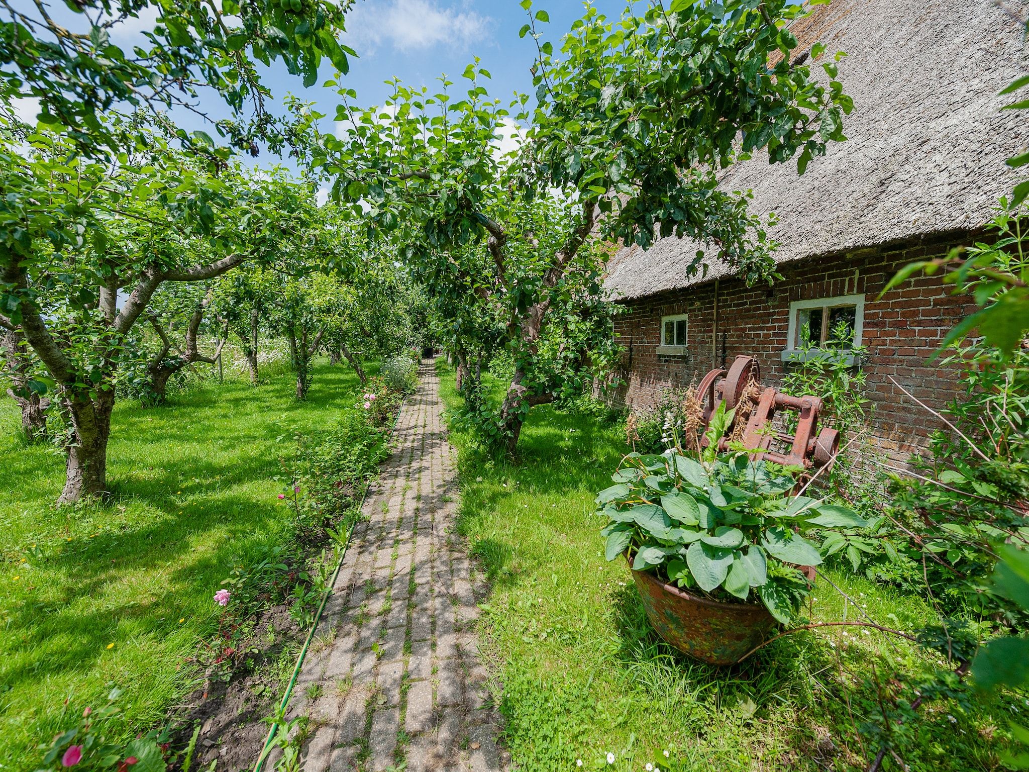 De tuin van Lauwerspleats in Burum