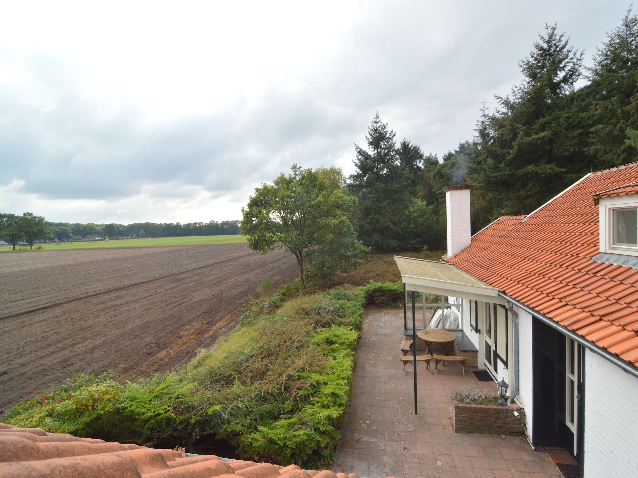 Het uitzicht vanaf Huis in het bos in Oploo