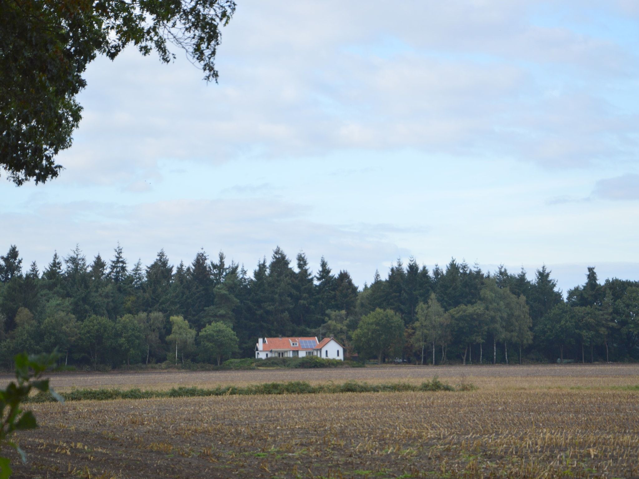 Huis in het bos in Oploo - Foto 36 van 41