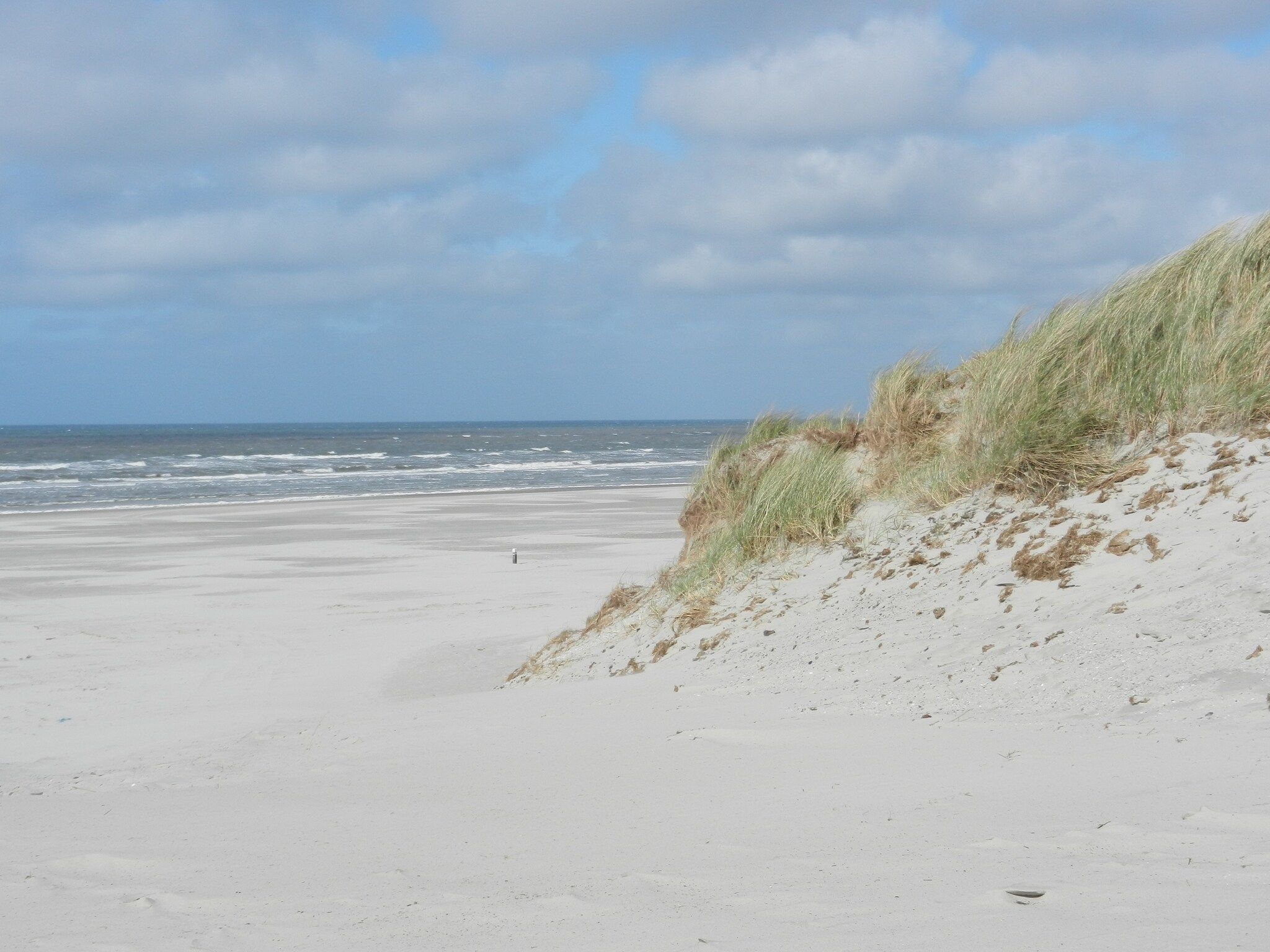 De omgeving van Skries in Nes Ameland