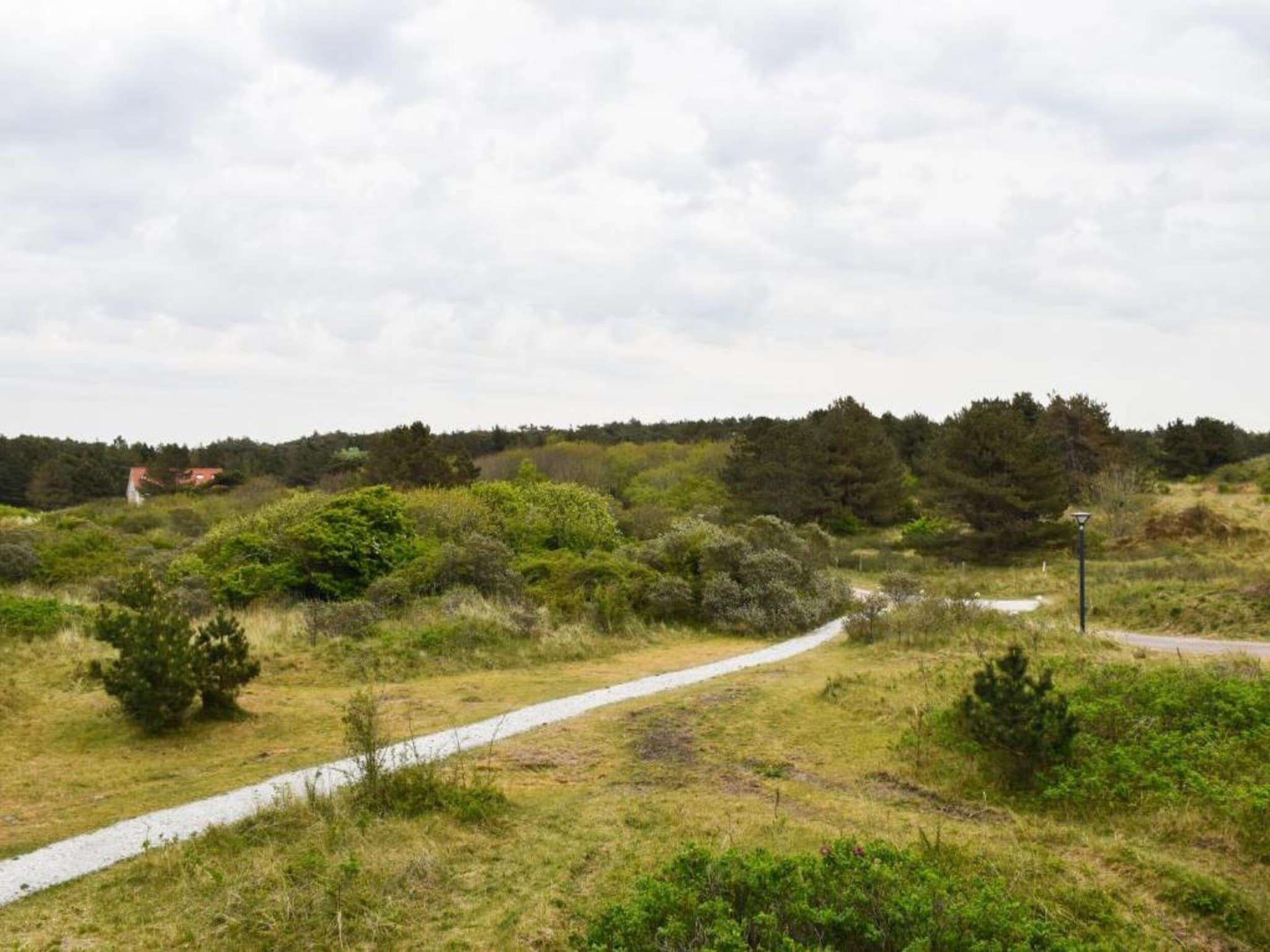 Skries in Nes Ameland - Foto 34 van 40