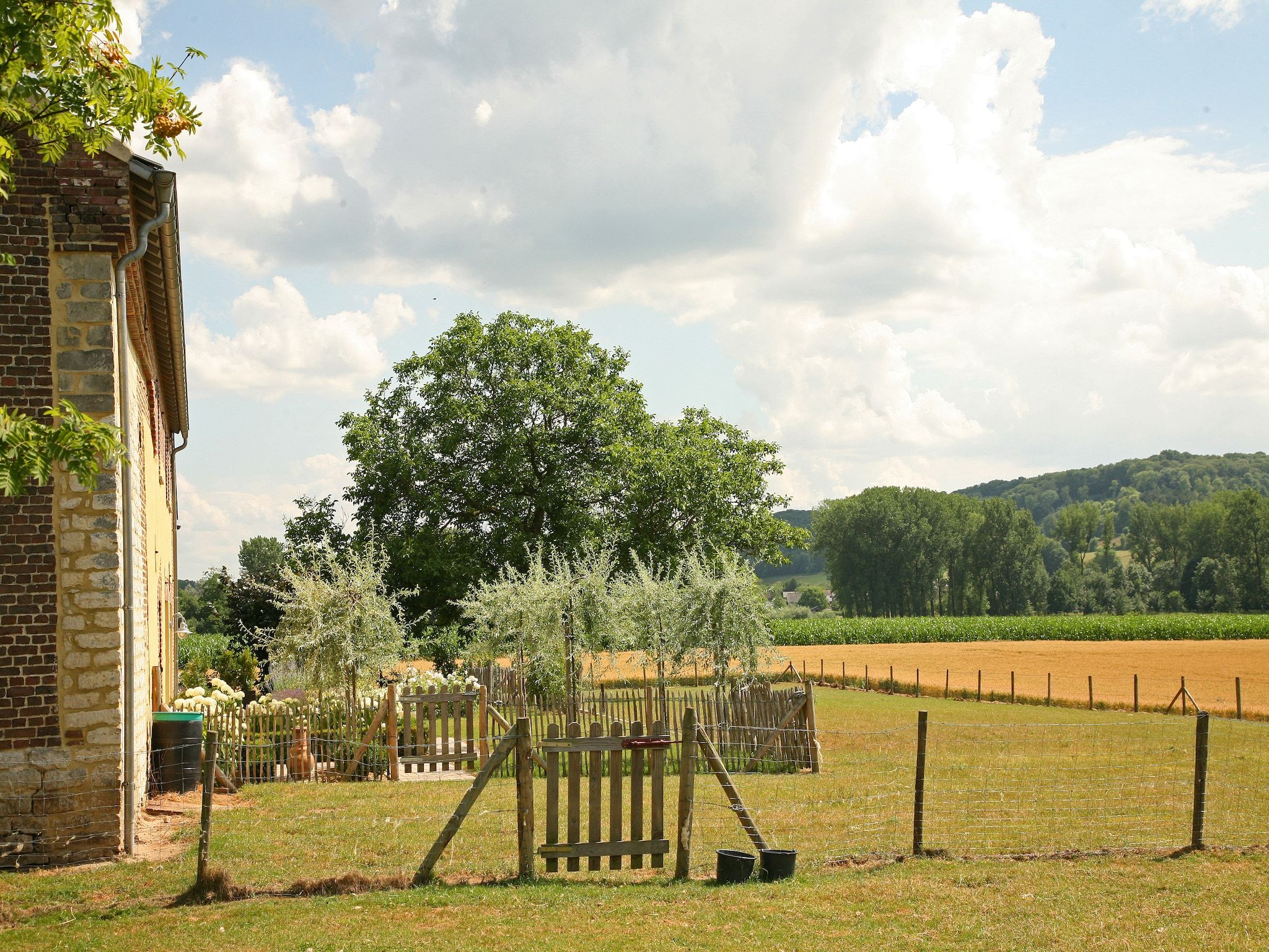 De tuin van Hoeve in gunne winkel 2 in Wijlre