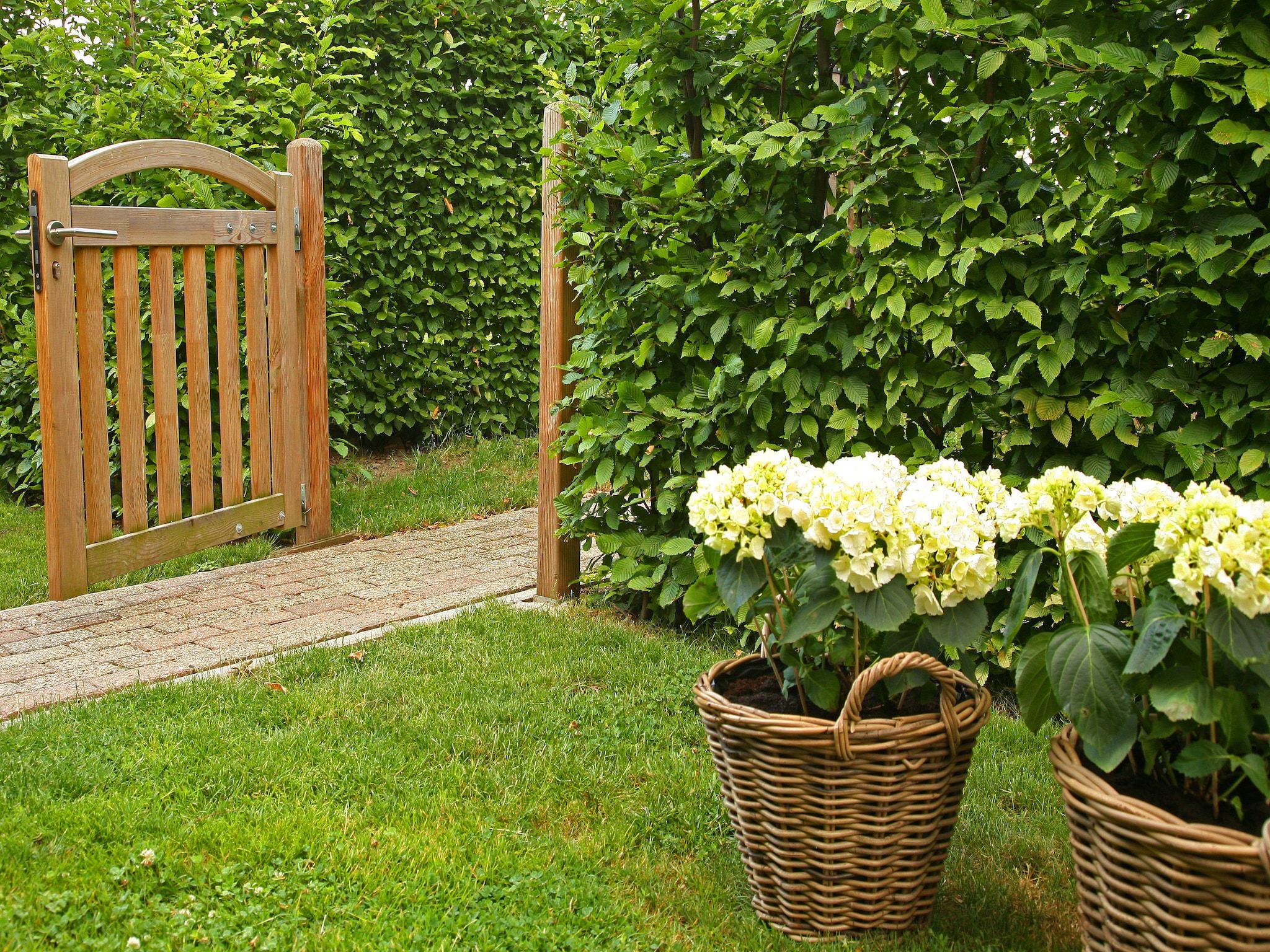 De tuin van Hoeve in gunne winkel 2 in Wijlre