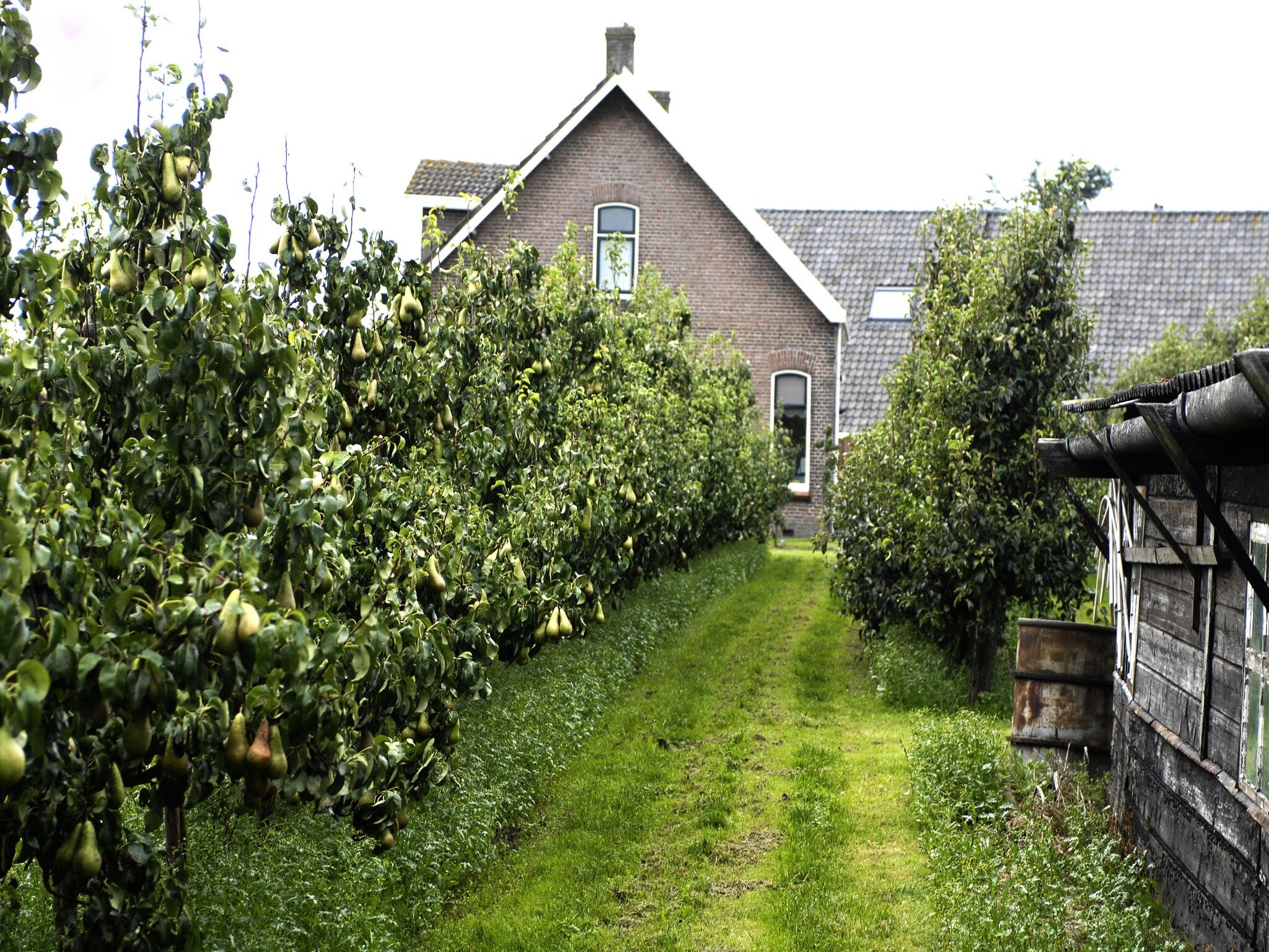 Licykreken in Wemeldinge - Foto 18 van 40