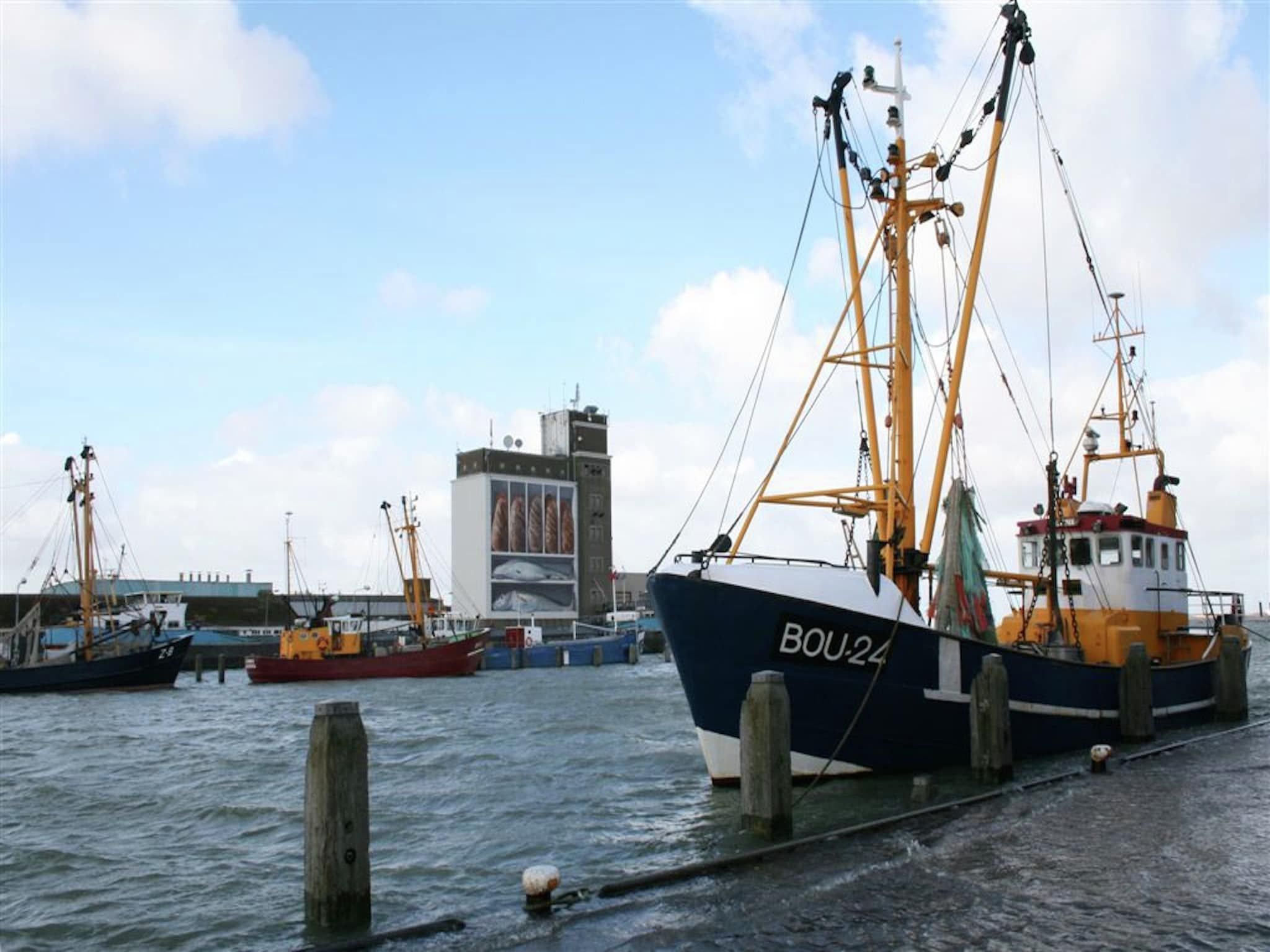 De omgeving van Het Platte Putje - Huisdiervrij - nr3 in Groede